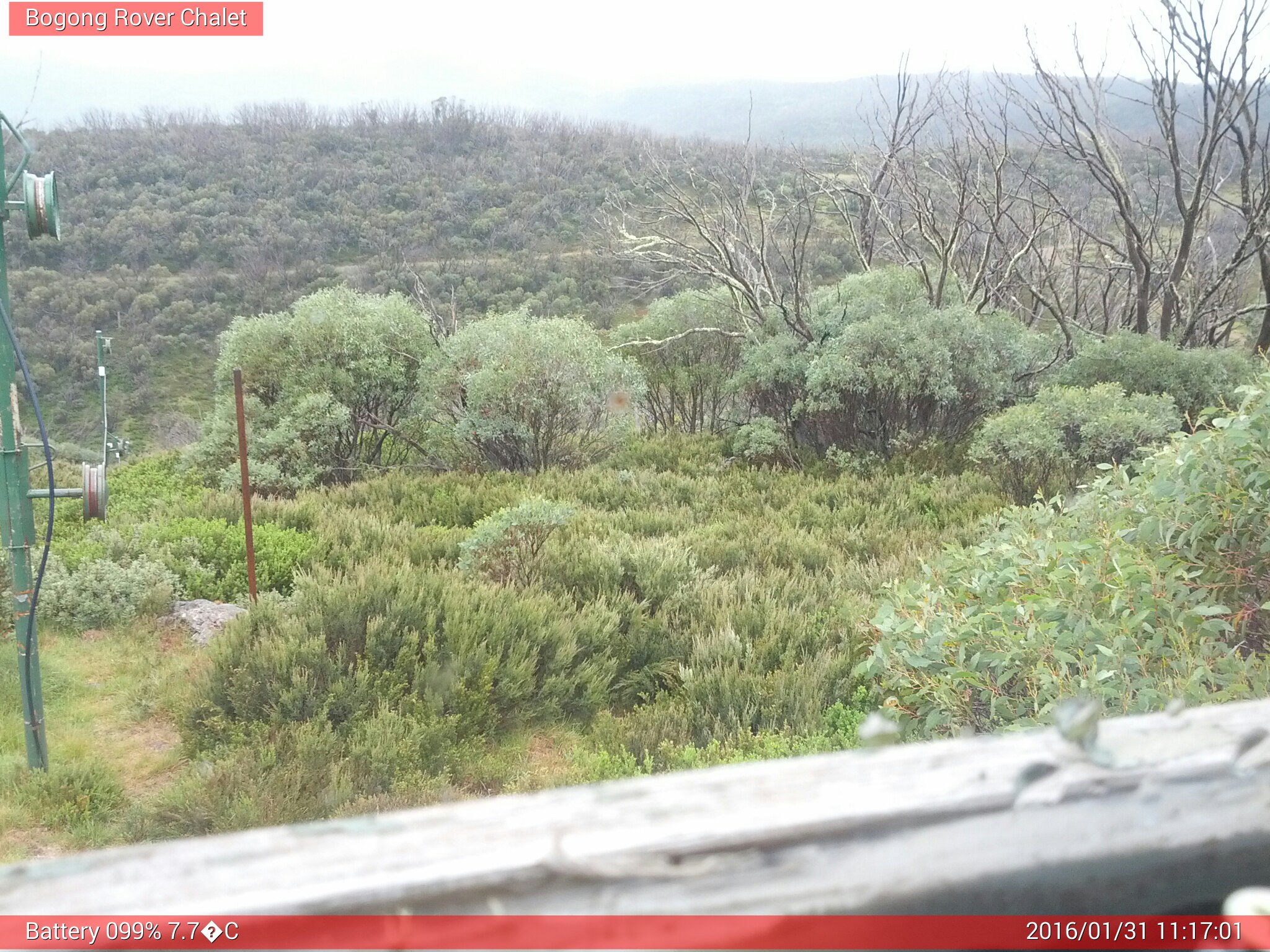 Bogong Web Cam 11:17am Sunday 31st of January 2016