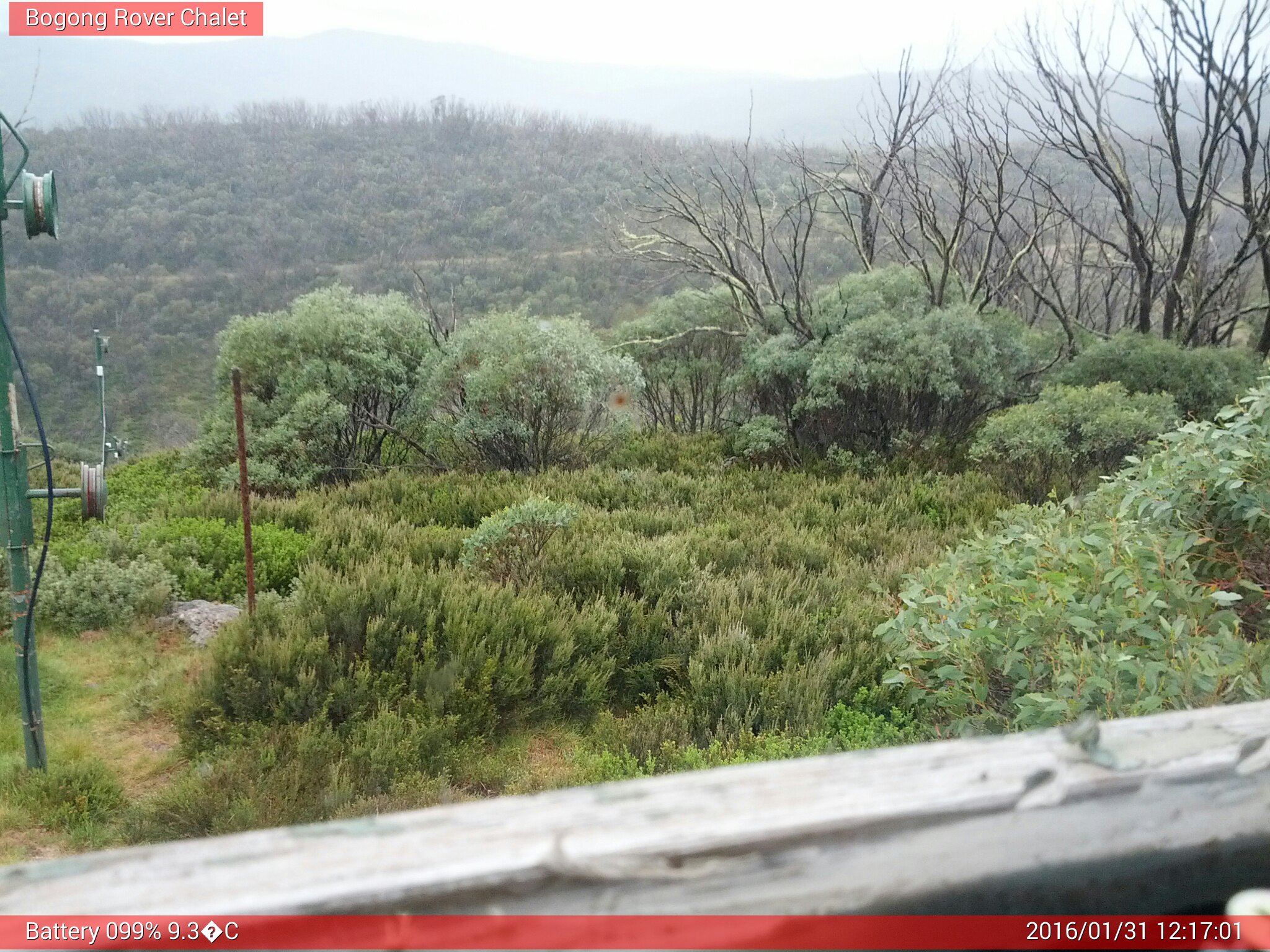 Bogong Web Cam 12:17pm Sunday 31st of January 2016