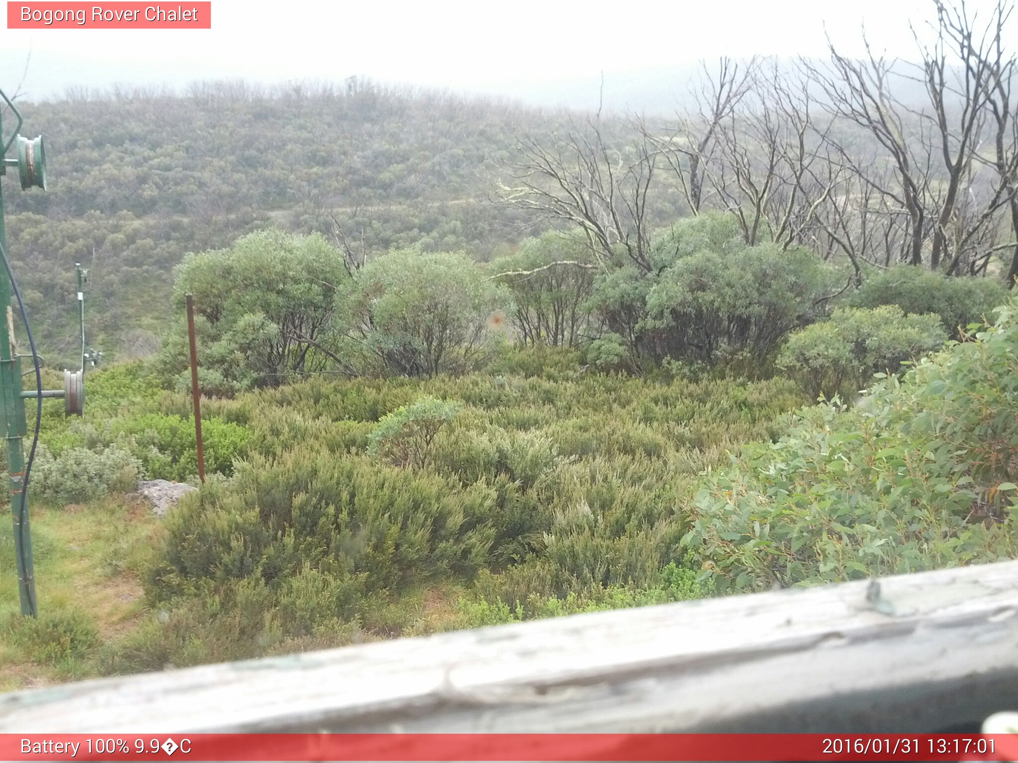 Bogong Web Cam 1:17pm Sunday 31st of January 2016