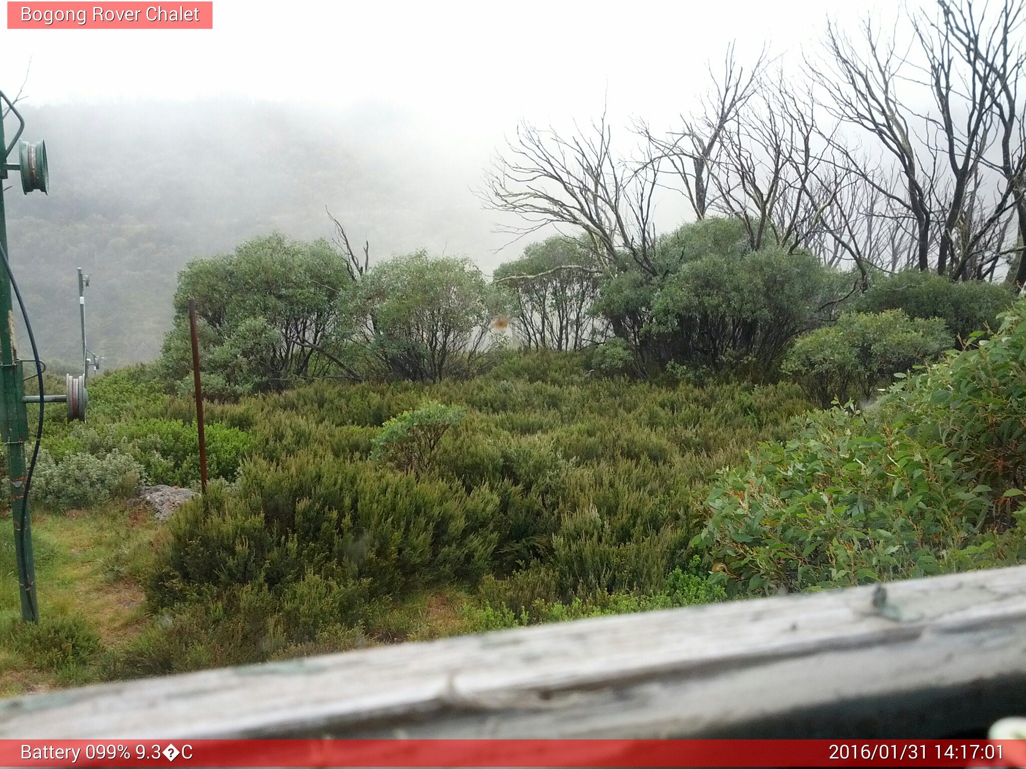 Bogong Web Cam 2:17pm Sunday 31st of January 2016