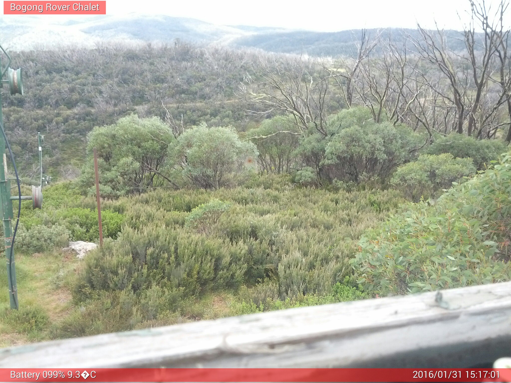 Bogong Web Cam 3:17pm Sunday 31st of January 2016