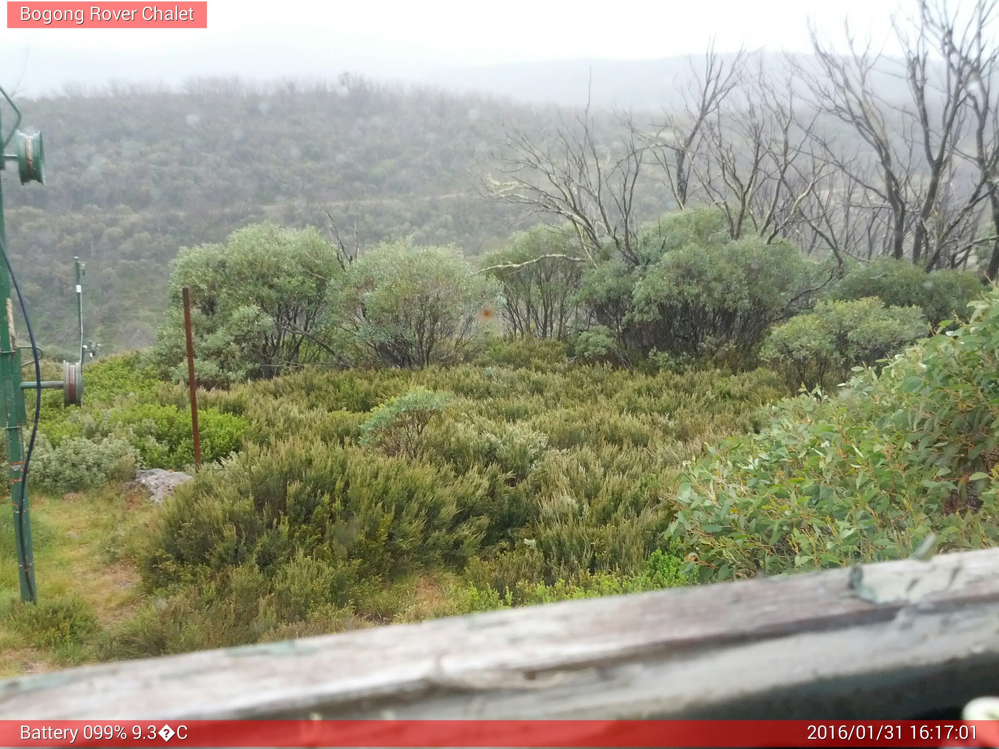 Bogong Web Cam 4:17pm Sunday 31st of January 2016