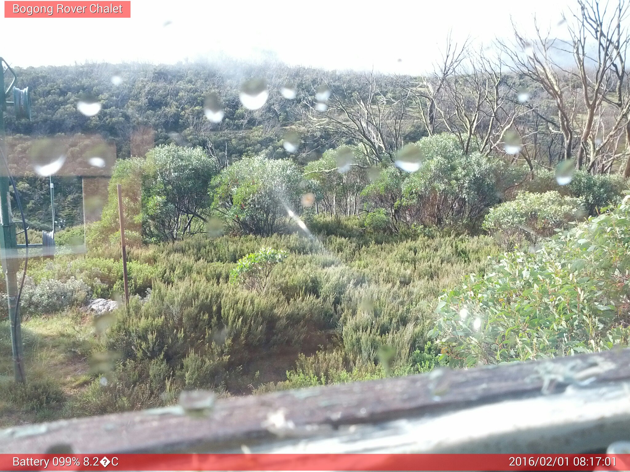 Bogong Web Cam 8:17am Monday 1st of February 2016