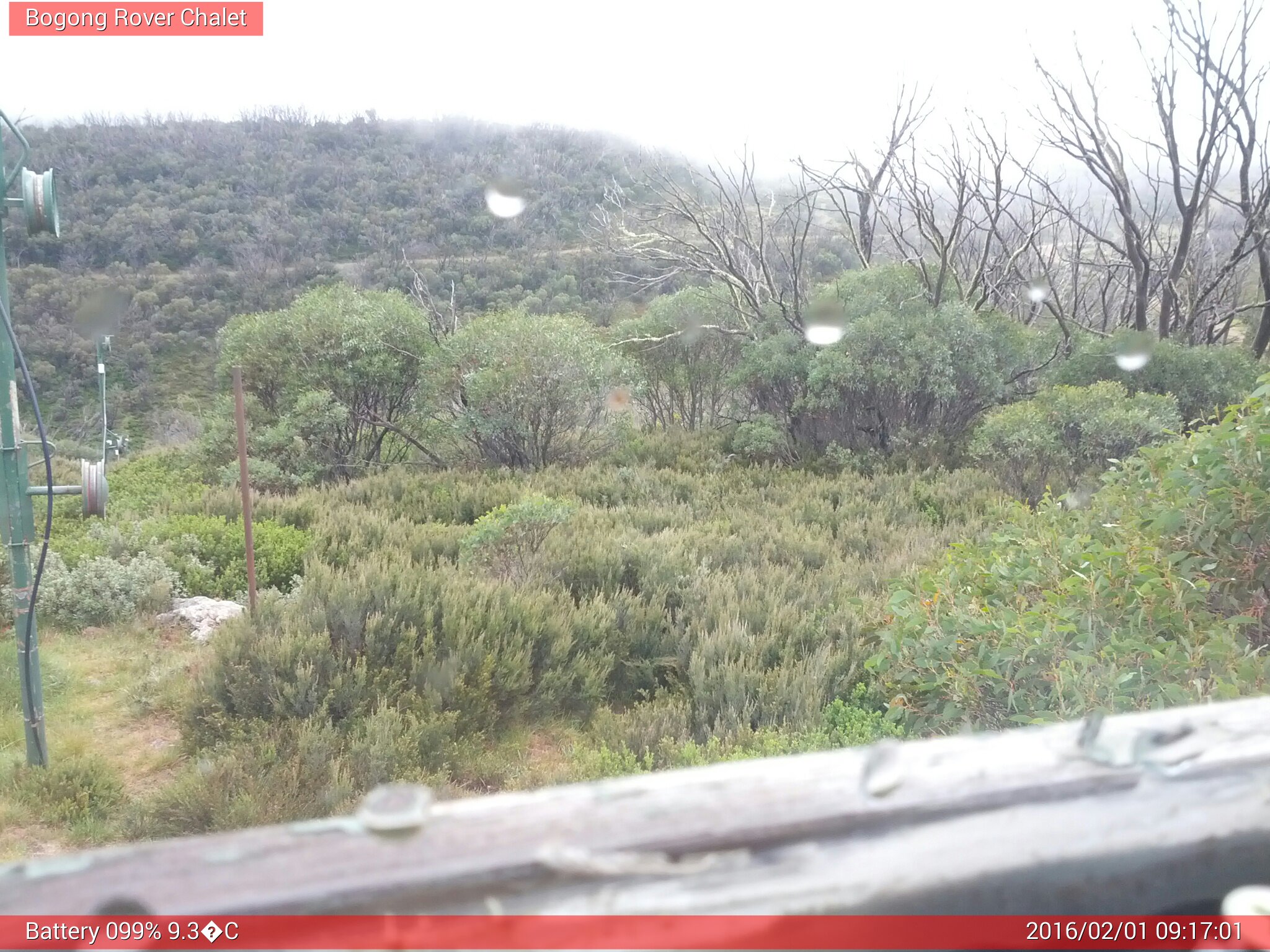 Bogong Web Cam 9:17am Monday 1st of February 2016