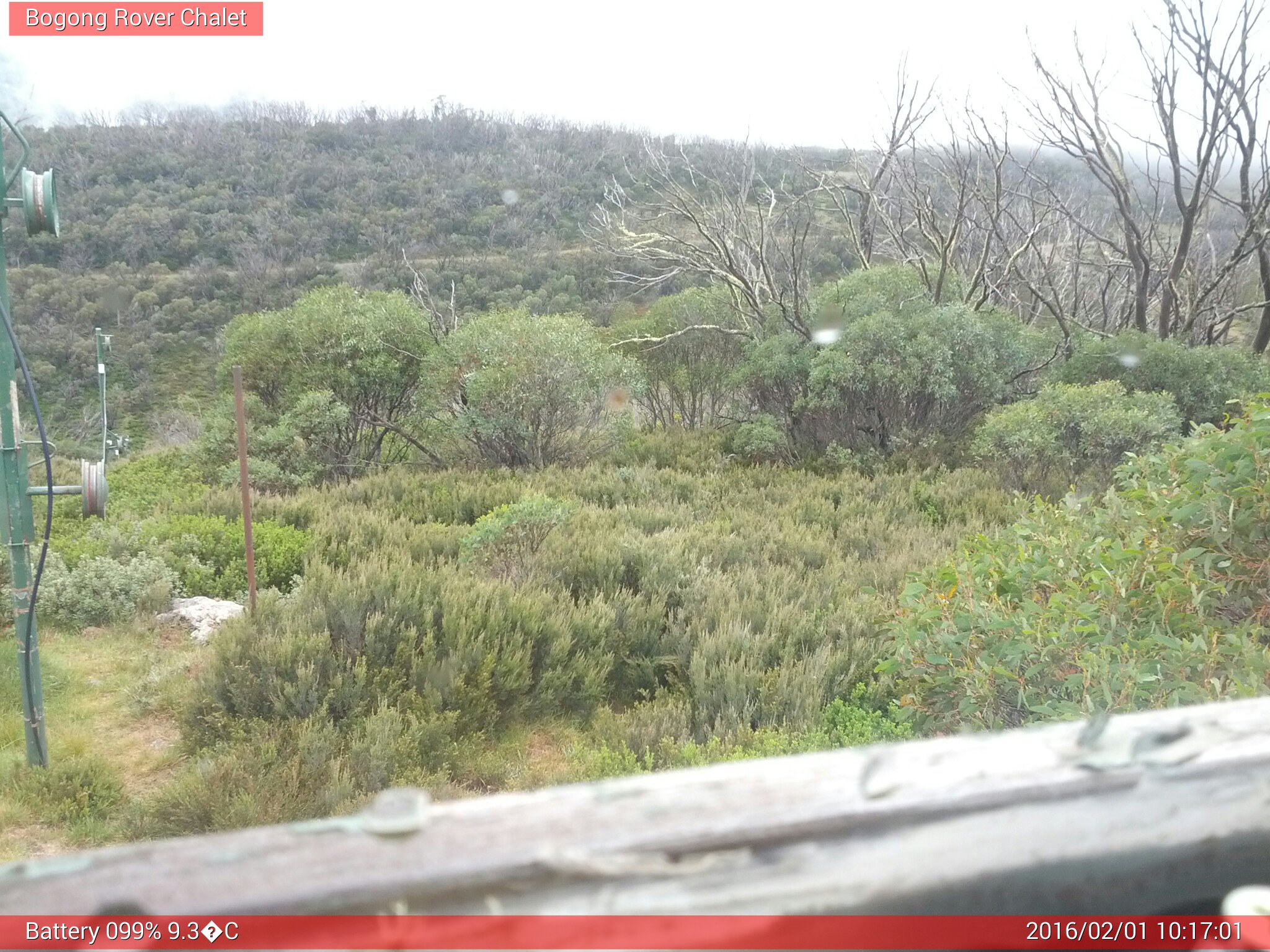 Bogong Web Cam 10:17am Monday 1st of February 2016