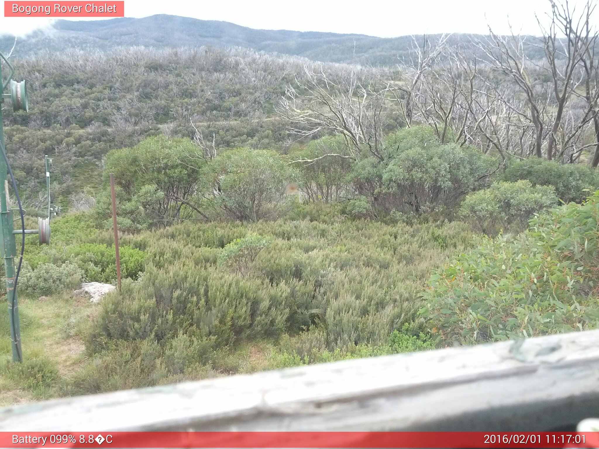 Bogong Web Cam 11:17am Monday 1st of February 2016