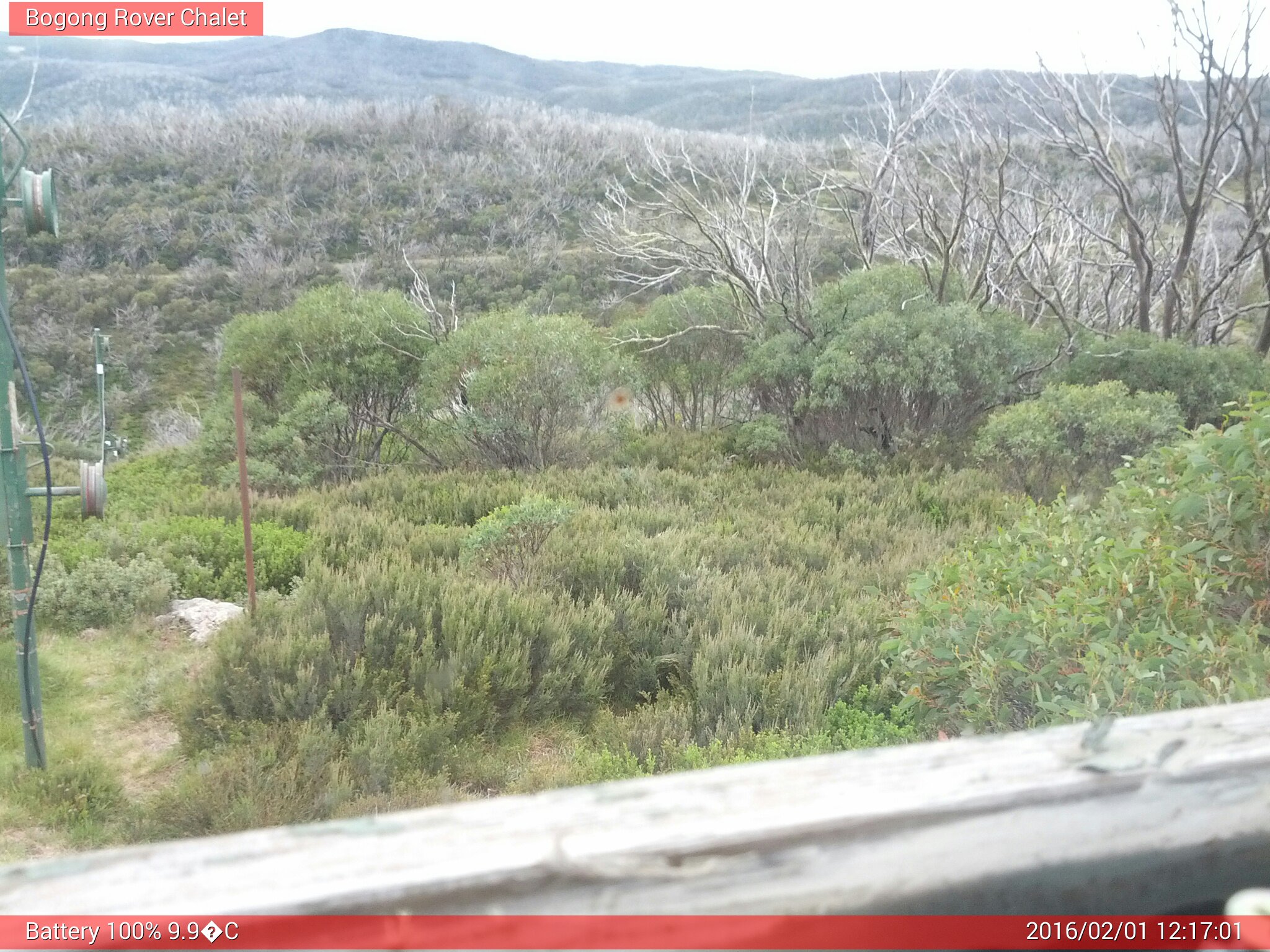 Bogong Web Cam 12:17pm Monday 1st of February 2016