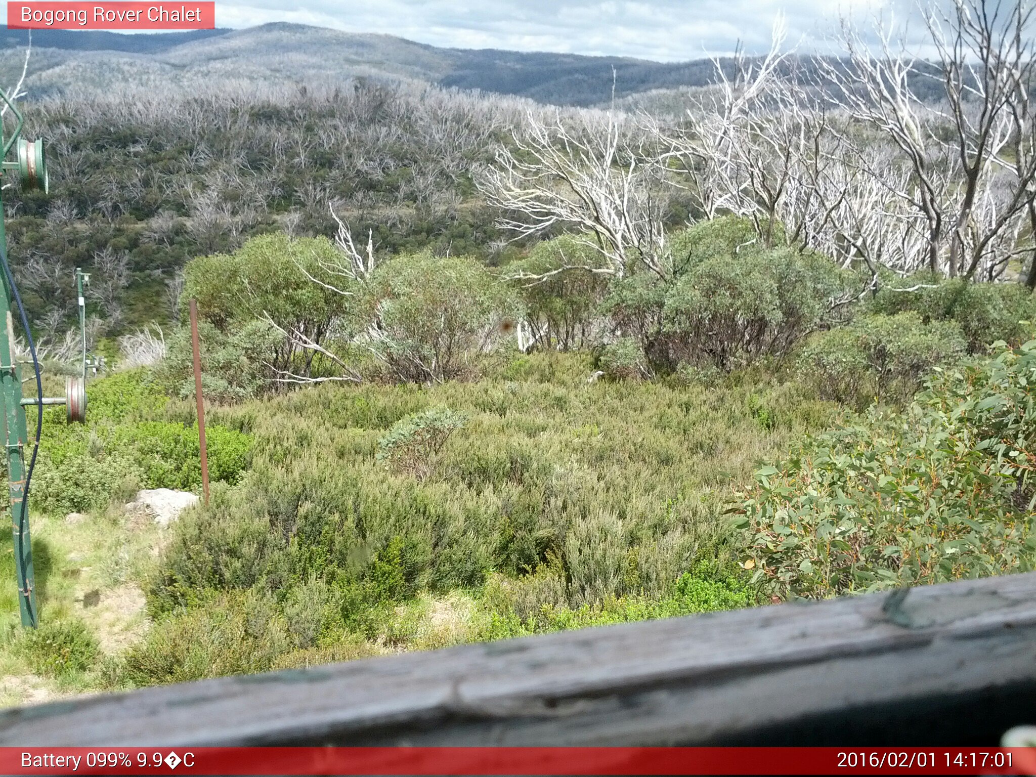 Bogong Web Cam 2:17pm Monday 1st of February 2016