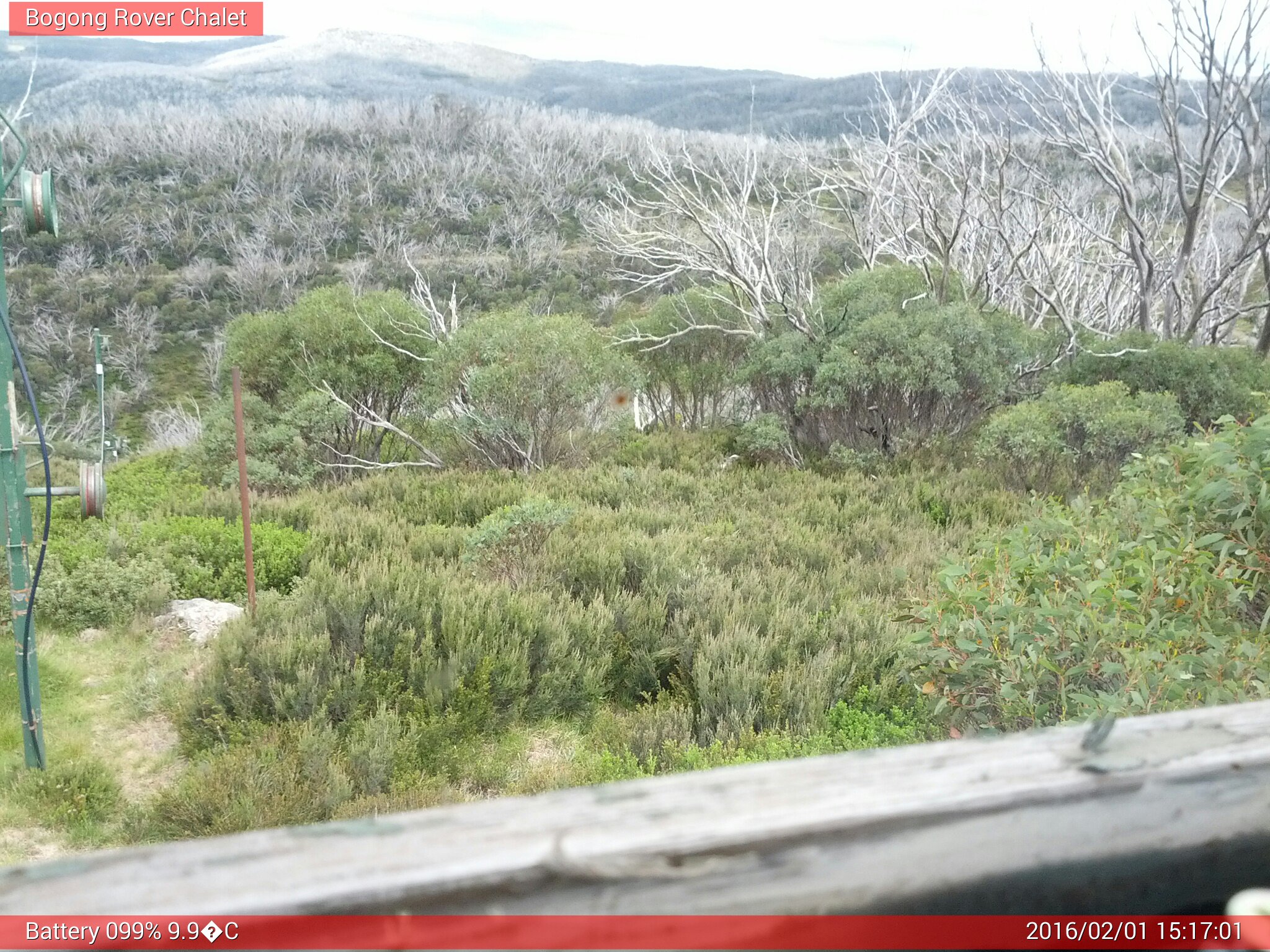 Bogong Web Cam 3:17pm Monday 1st of February 2016