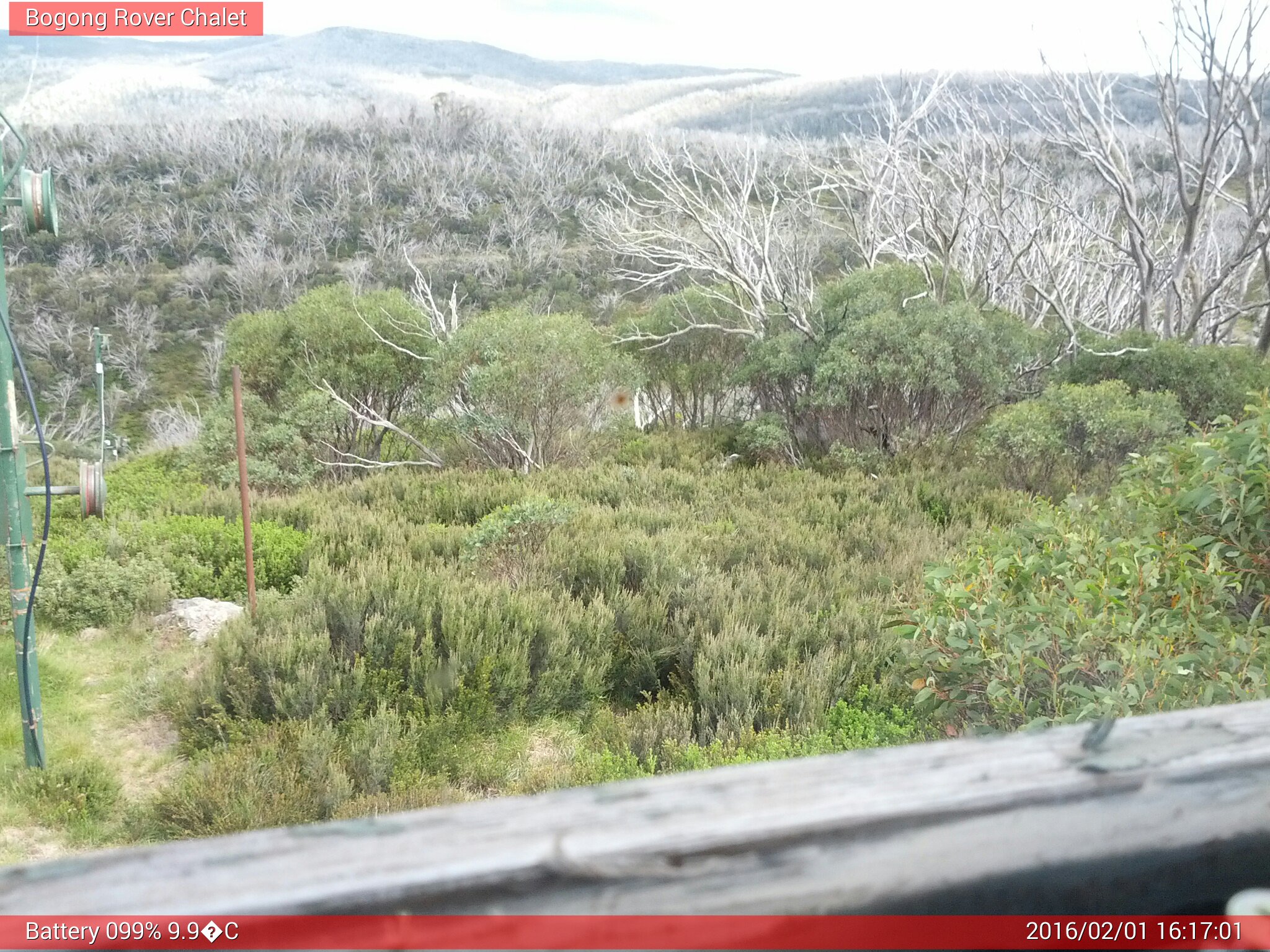 Bogong Web Cam 4:17pm Monday 1st of February 2016