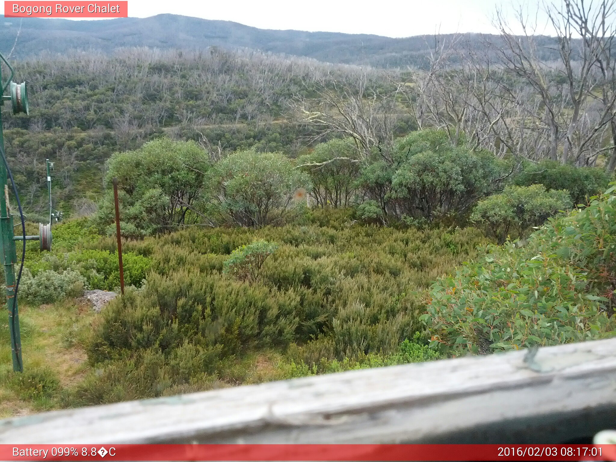 Bogong Web Cam 8:17am Wednesday 3rd of February 2016