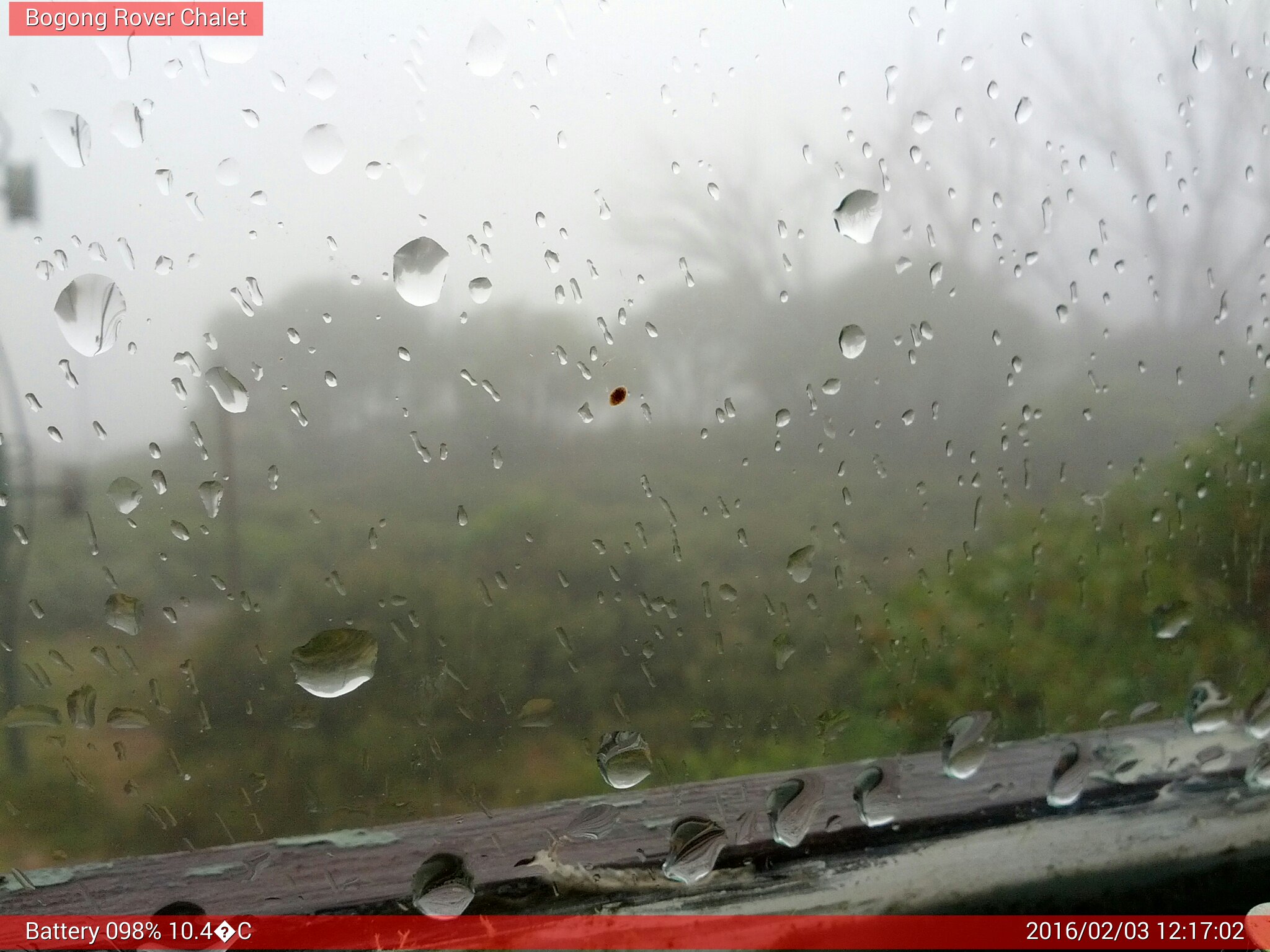 Bogong Web Cam 12:17pm Wednesday 3rd of February 2016