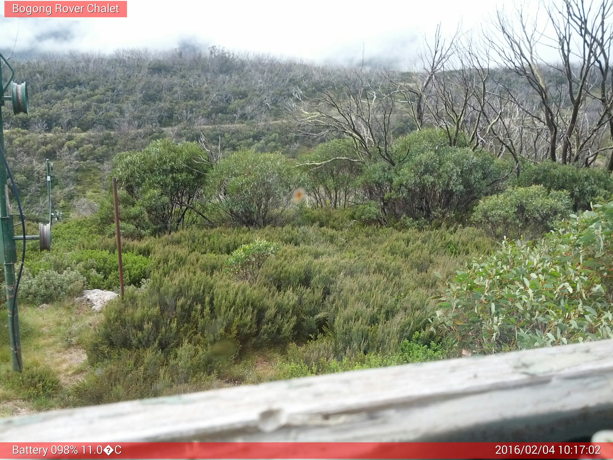 Bogong Web Cam 10:17am Thursday 4th of February 2016