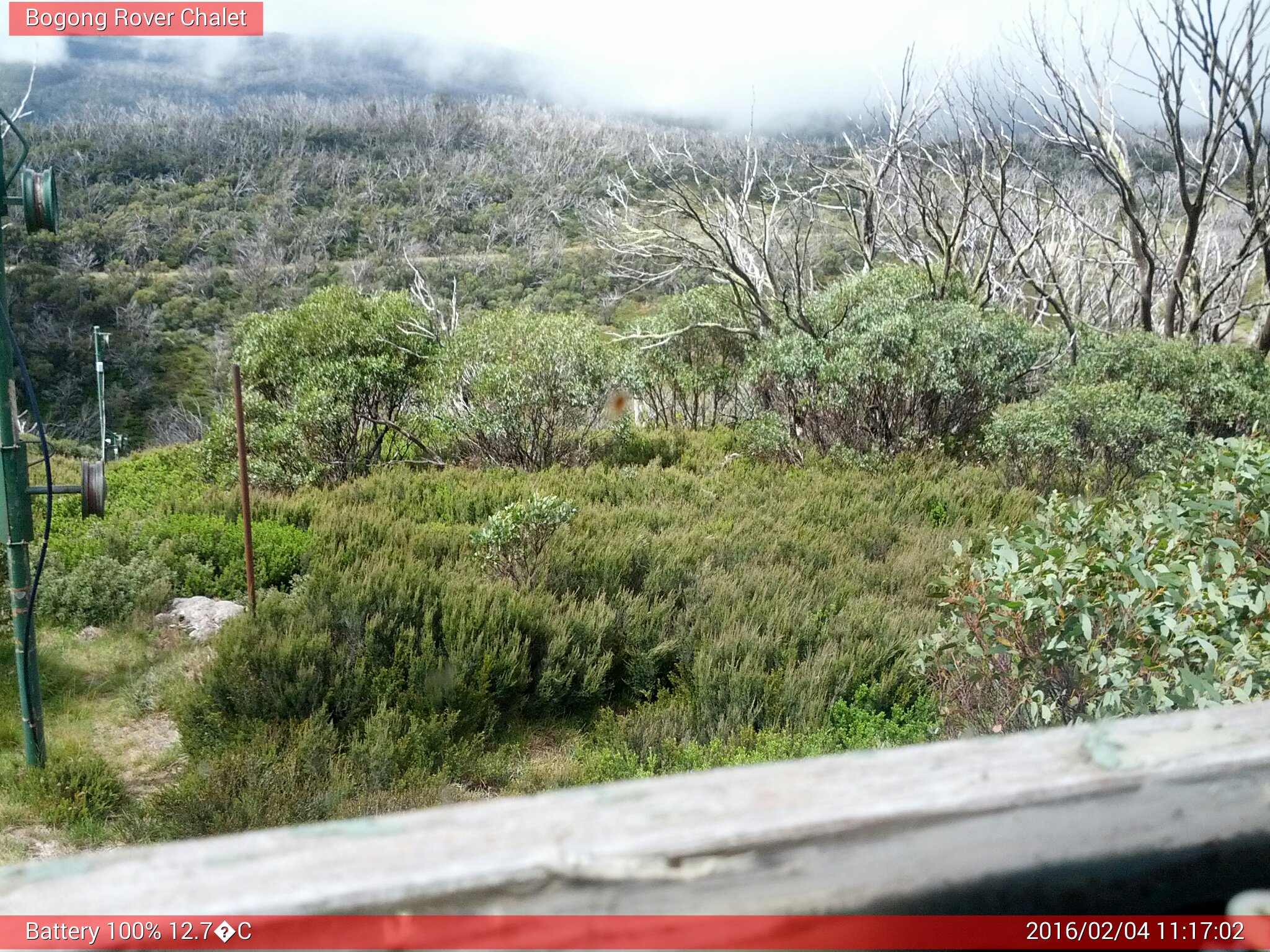 Bogong Web Cam 11:17am Thursday 4th of February 2016