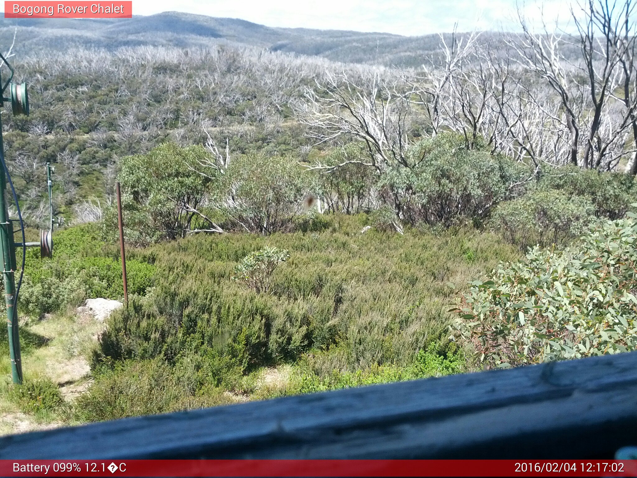 Bogong Web Cam 12:17pm Thursday 4th of February 2016