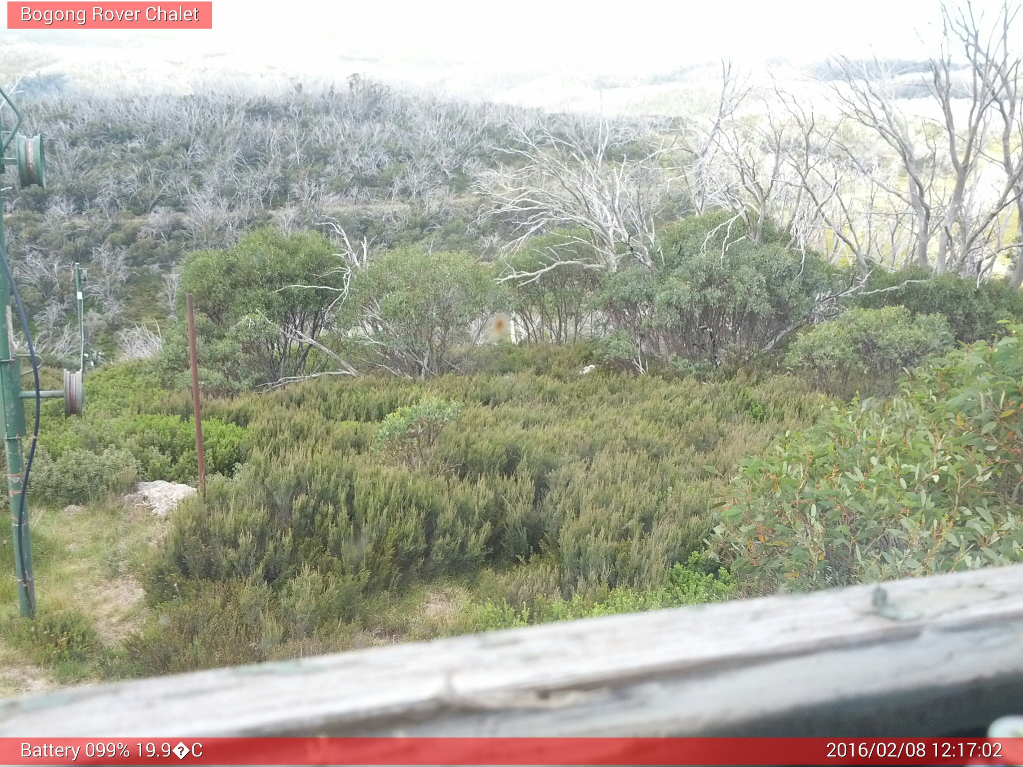 Bogong Web Cam 12:17pm Monday 8th of February 2016