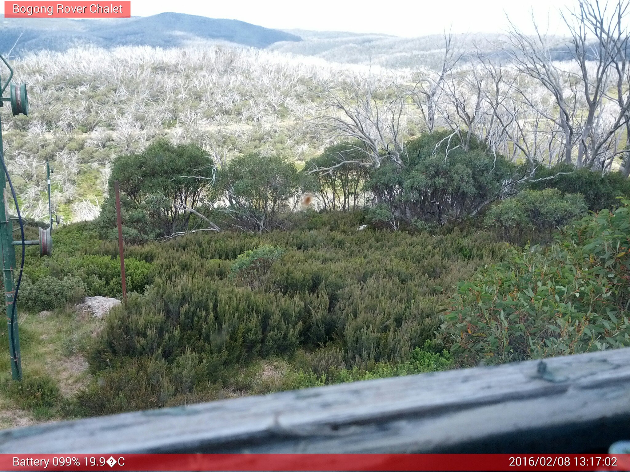 Bogong Web Cam 1:17pm Monday 8th of February 2016