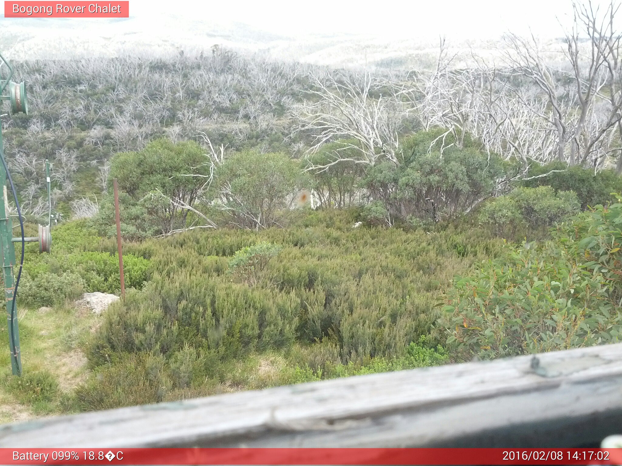 Bogong Web Cam 2:17pm Monday 8th of February 2016