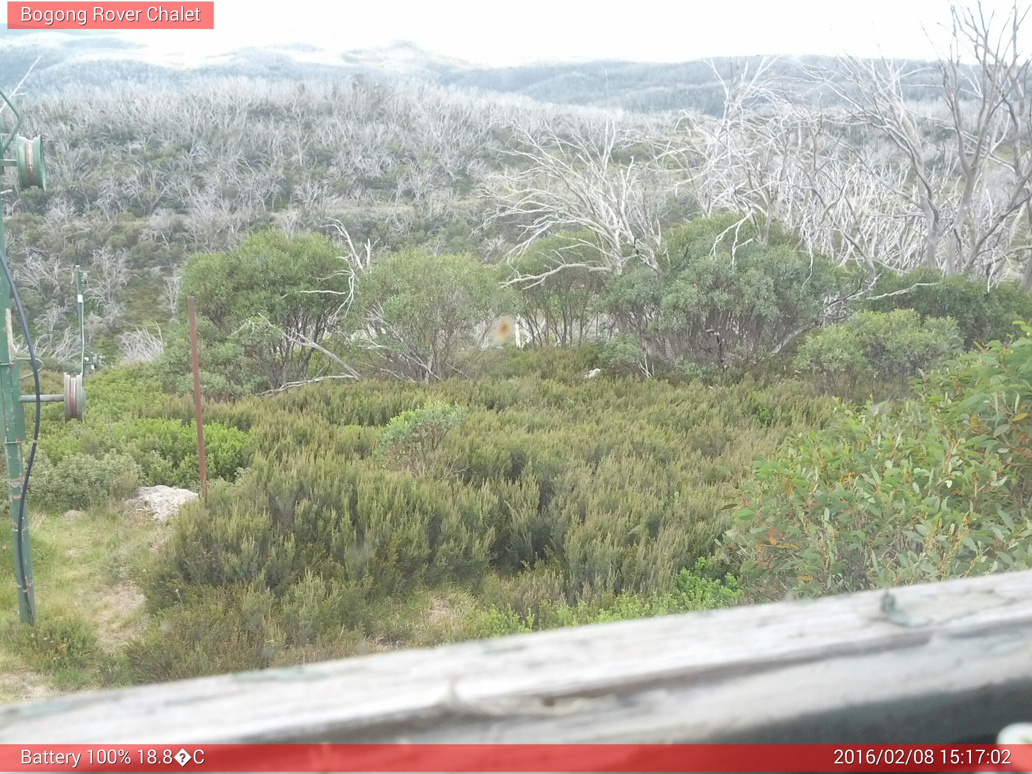 Bogong Web Cam 3:17pm Monday 8th of February 2016