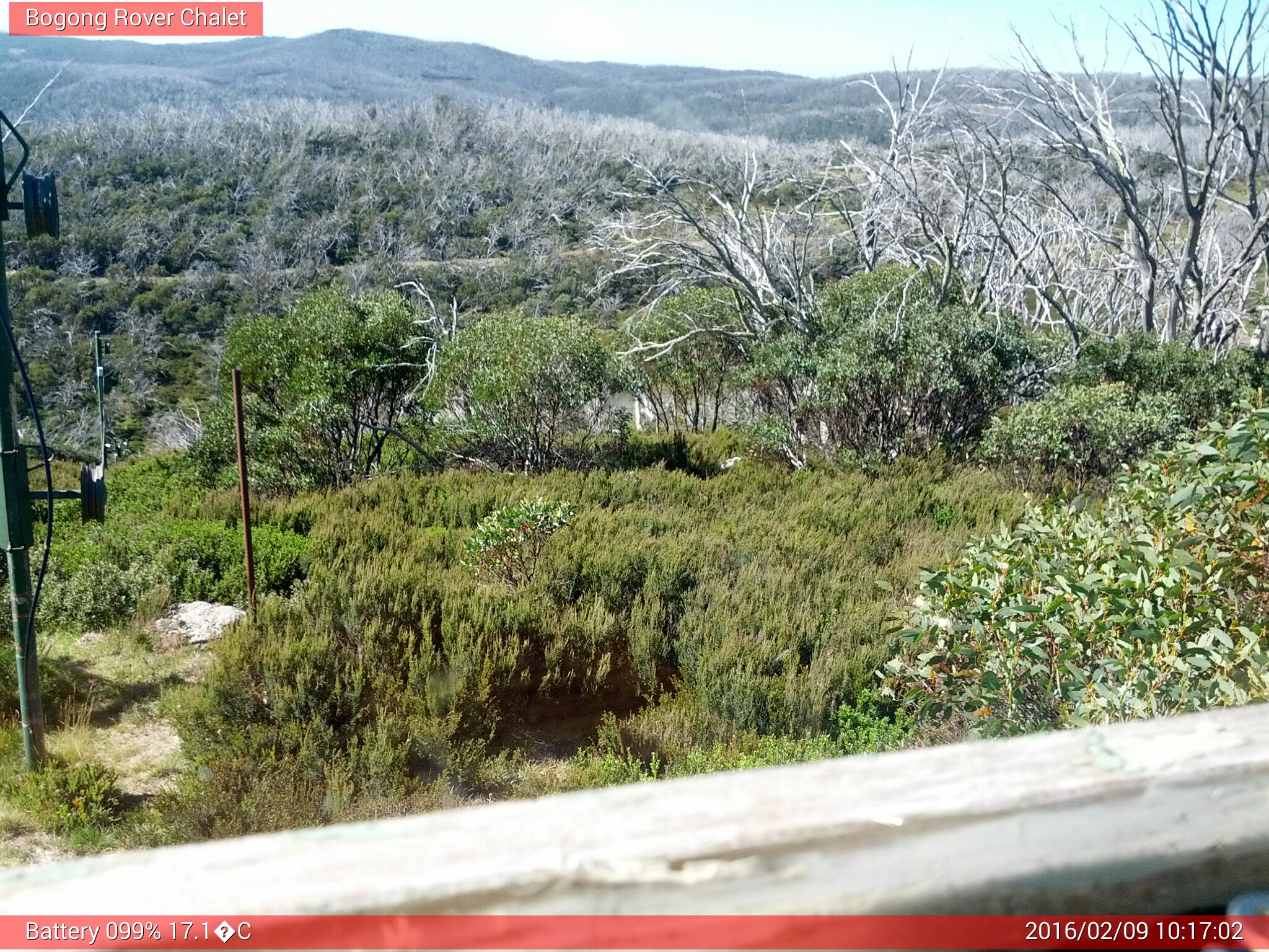 Bogong Web Cam 10:17am Tuesday 9th of February 2016