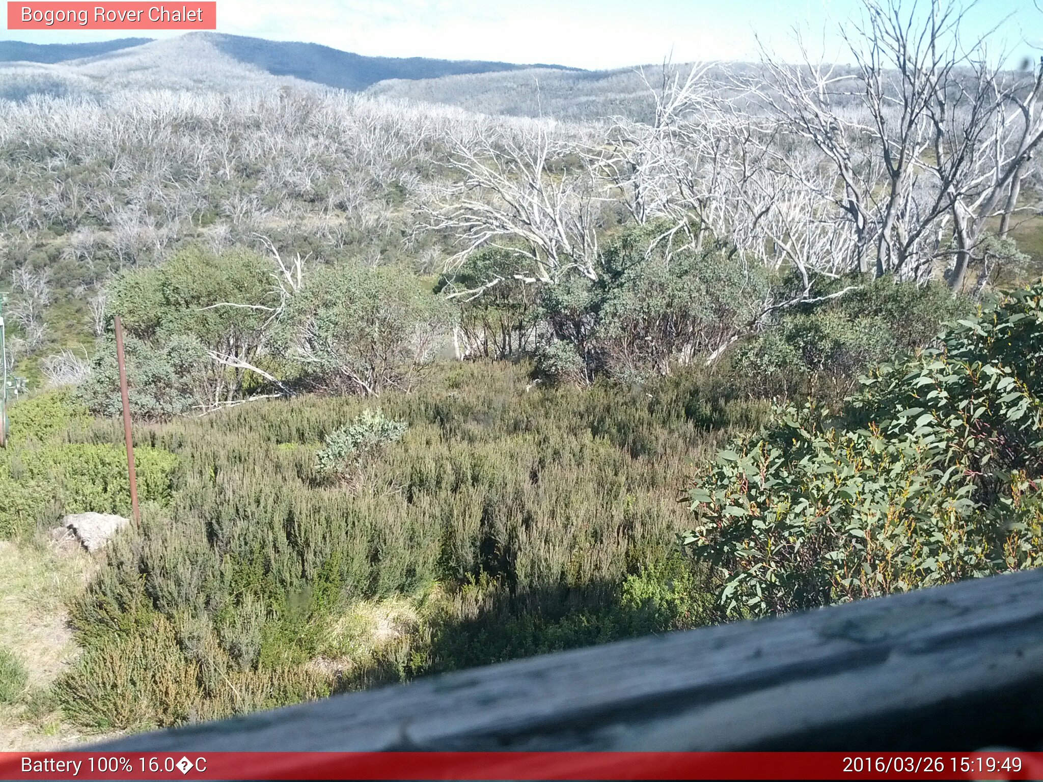 Bogong Web Cam 3:19pm Saturday 26th of March 2016