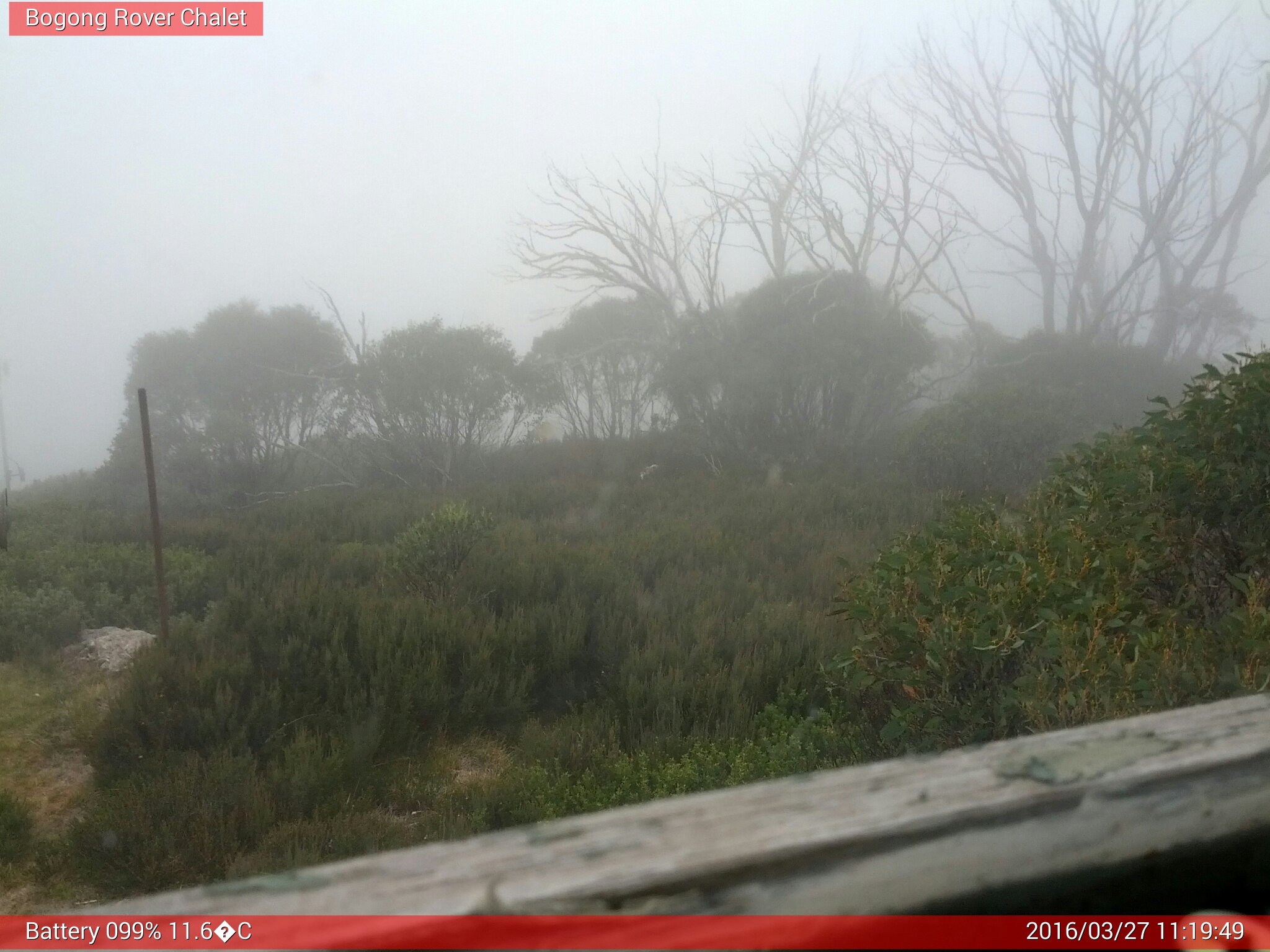 Bogong Web Cam 11:19am Sunday 27th of March 2016