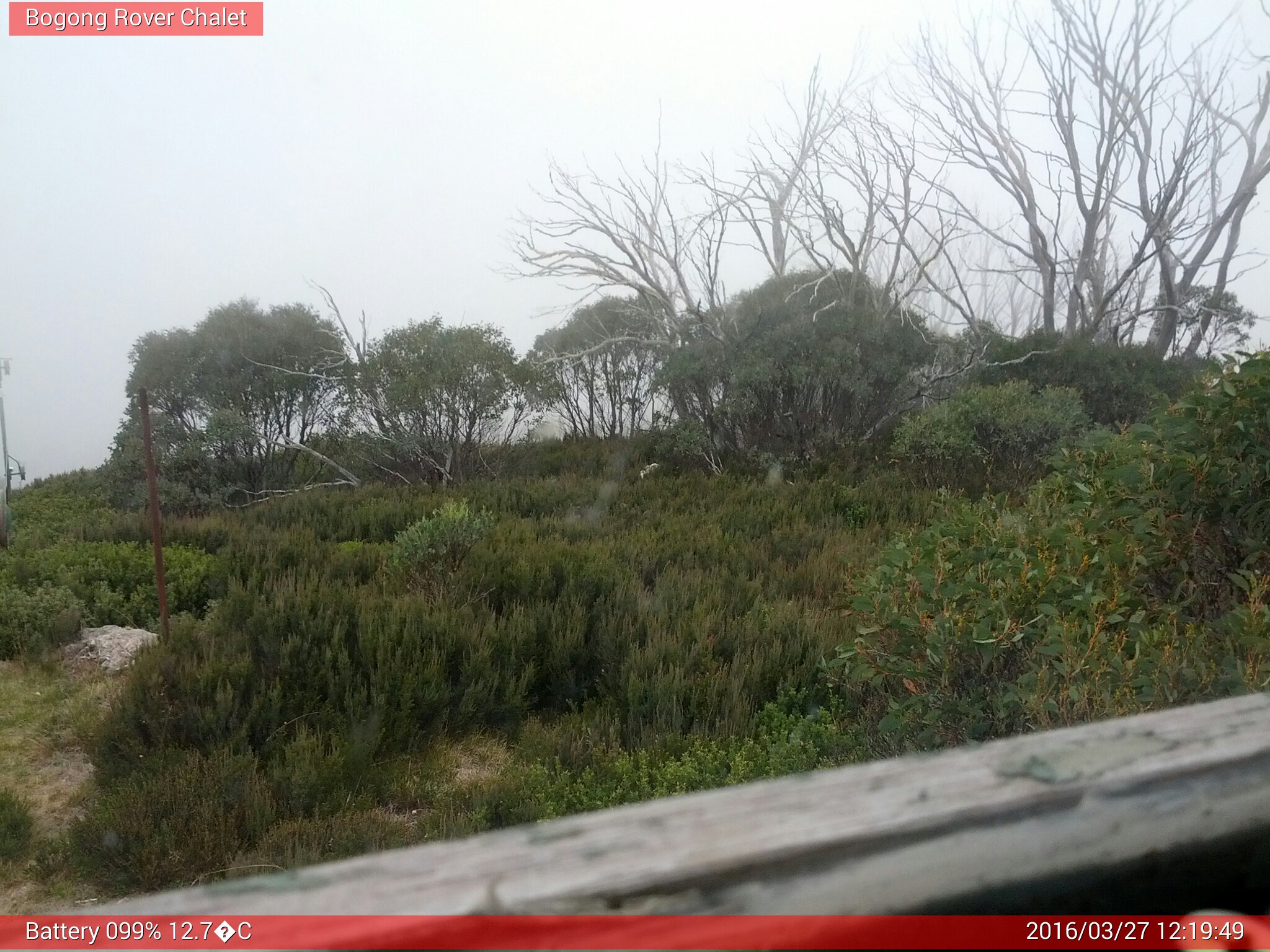 Bogong Web Cam 12:19pm Sunday 27th of March 2016