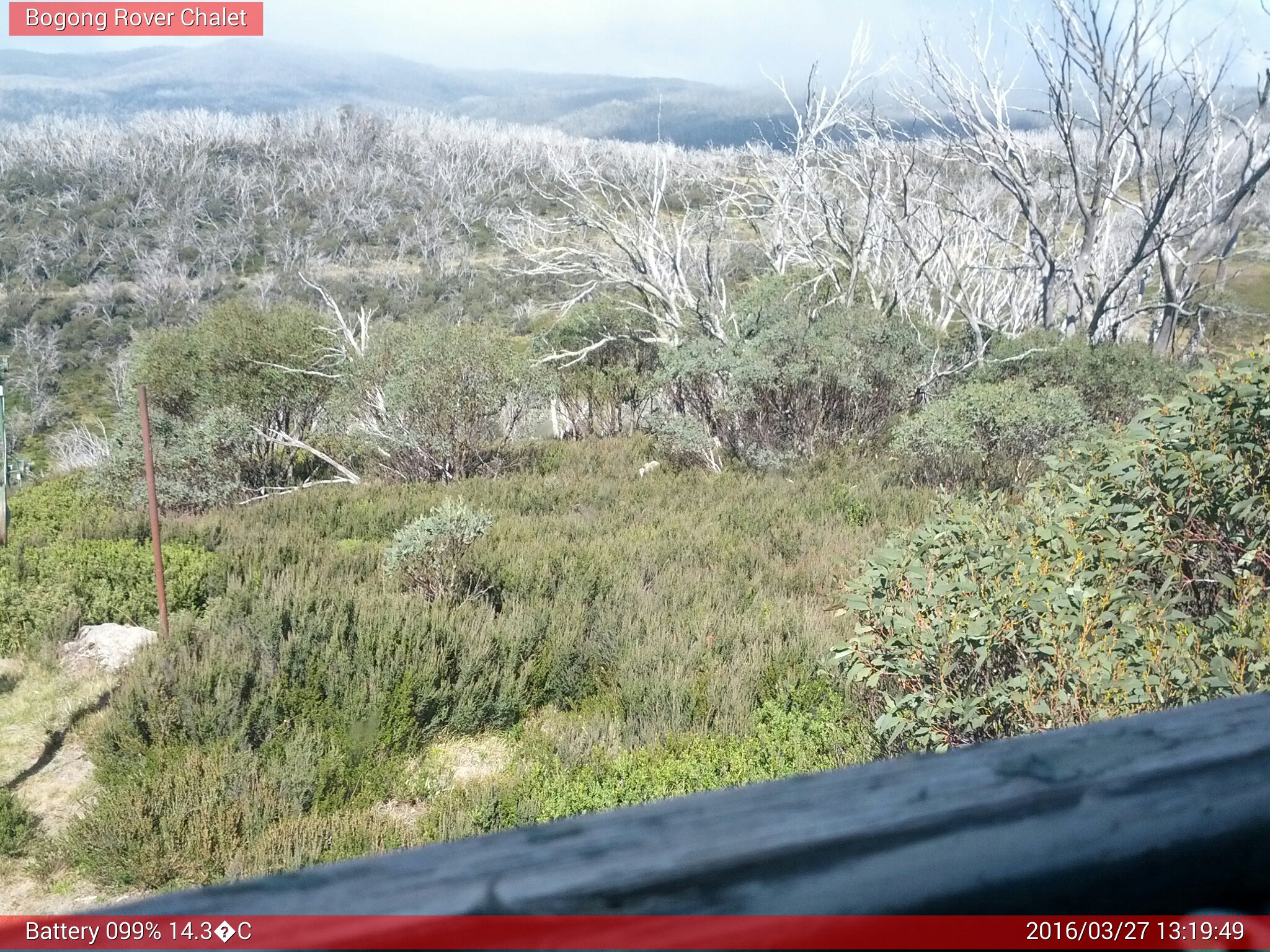 Bogong Web Cam 1:19pm Sunday 27th of March 2016