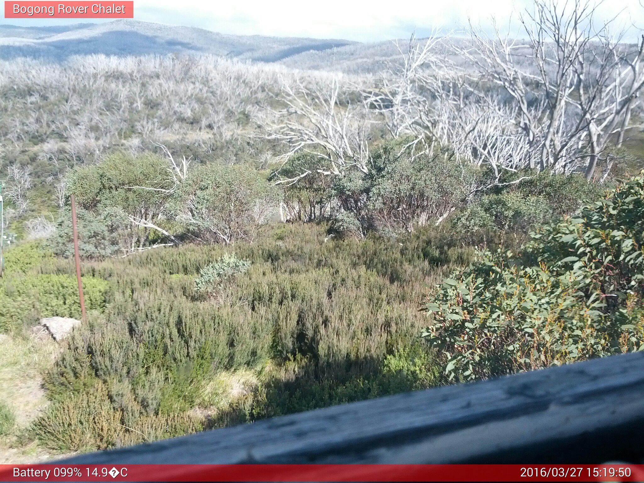 Bogong Web Cam 3:19pm Sunday 27th of March 2016