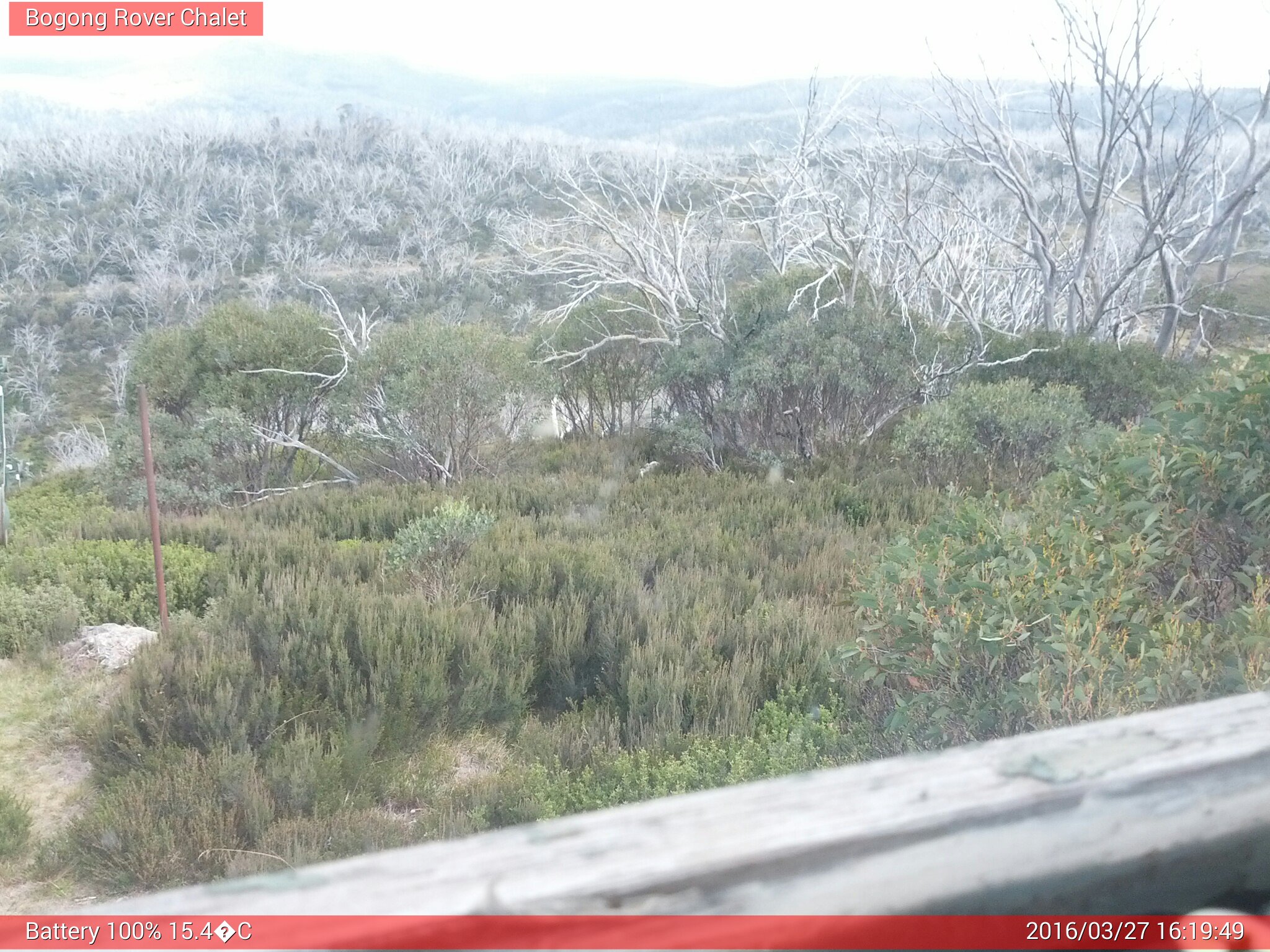 Bogong Web Cam 4:19pm Sunday 27th of March 2016