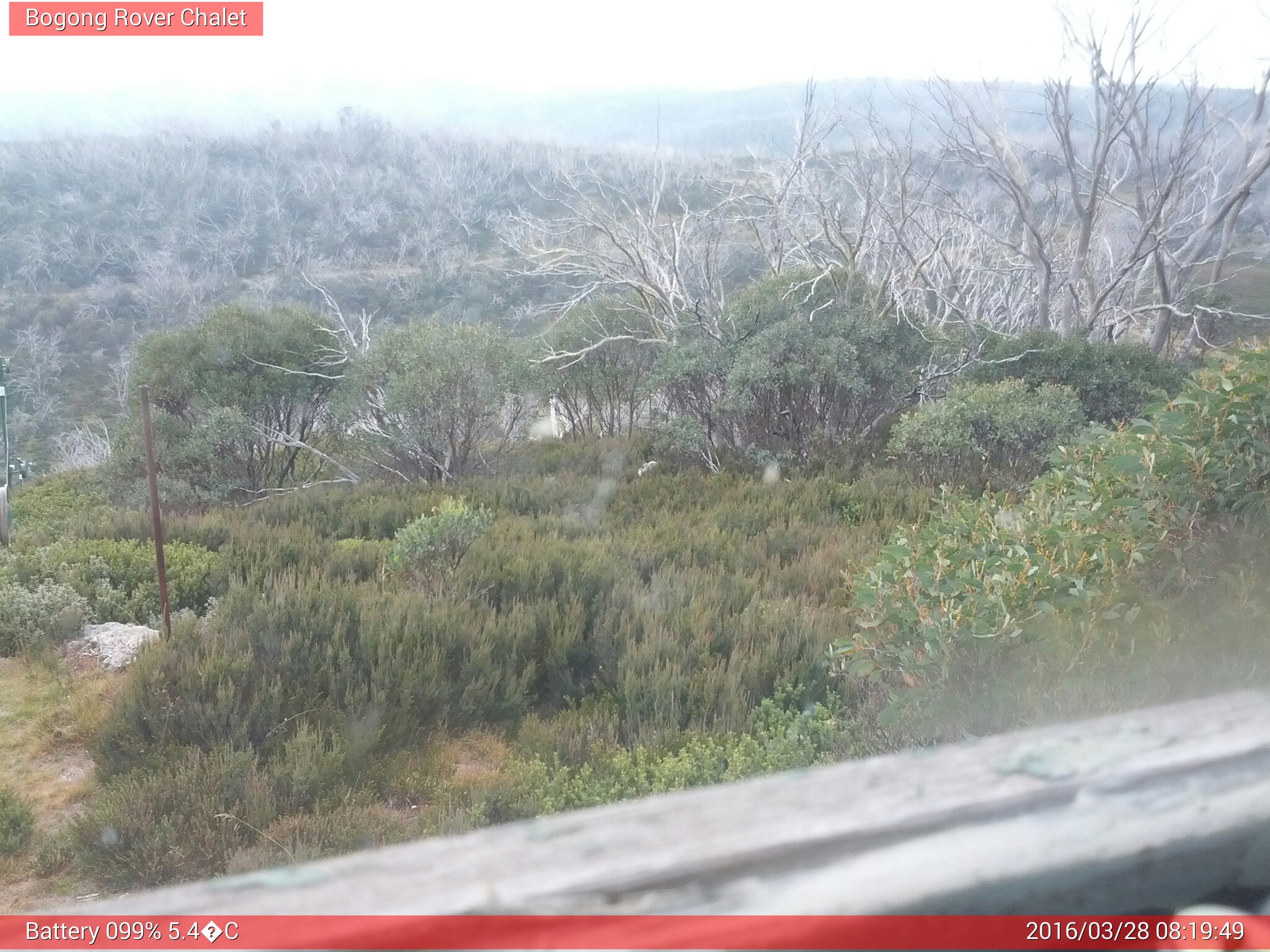 Bogong Web Cam 8:19am Monday 28th of March 2016