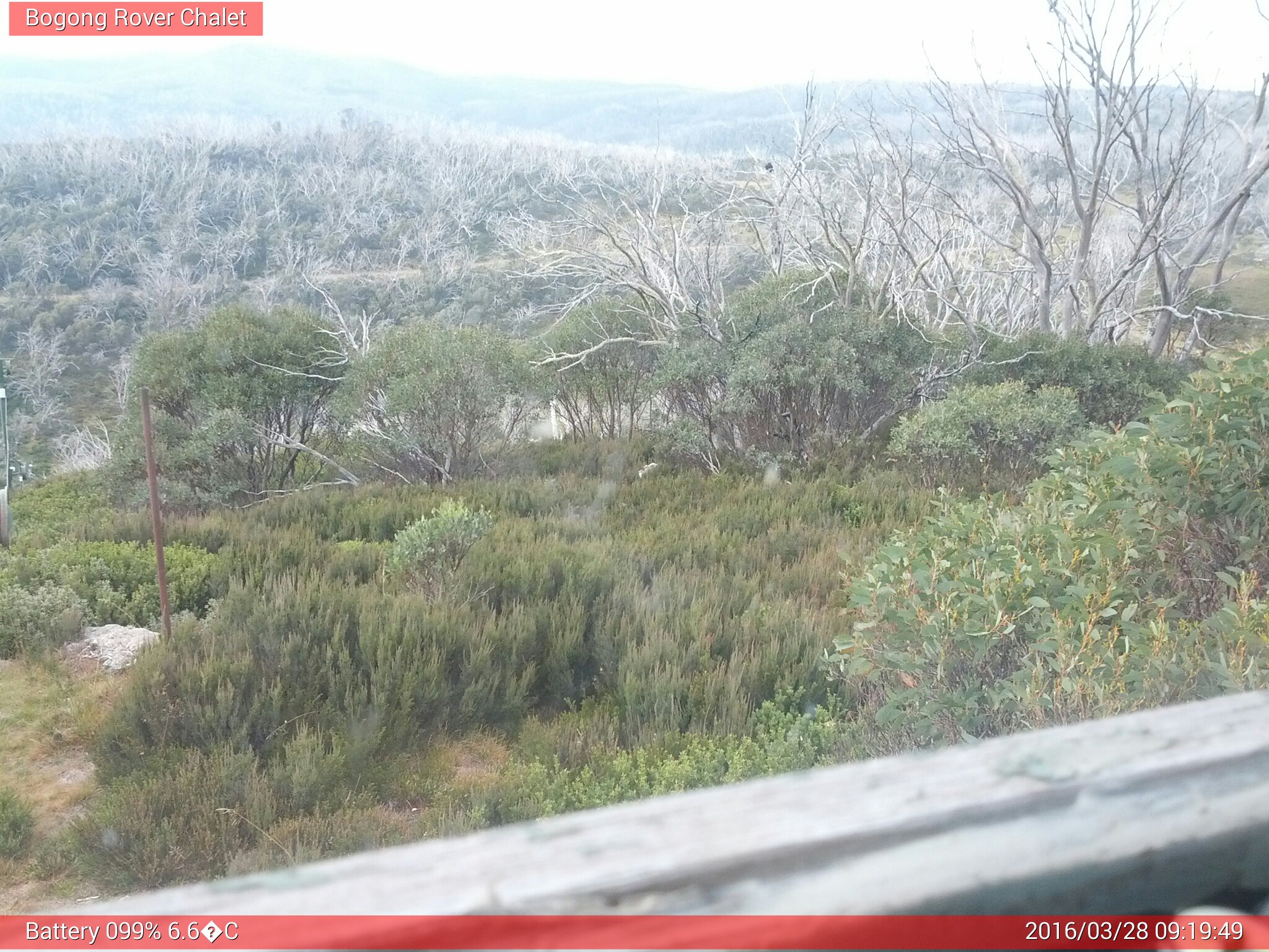 Bogong Web Cam 9:19am Monday 28th of March 2016