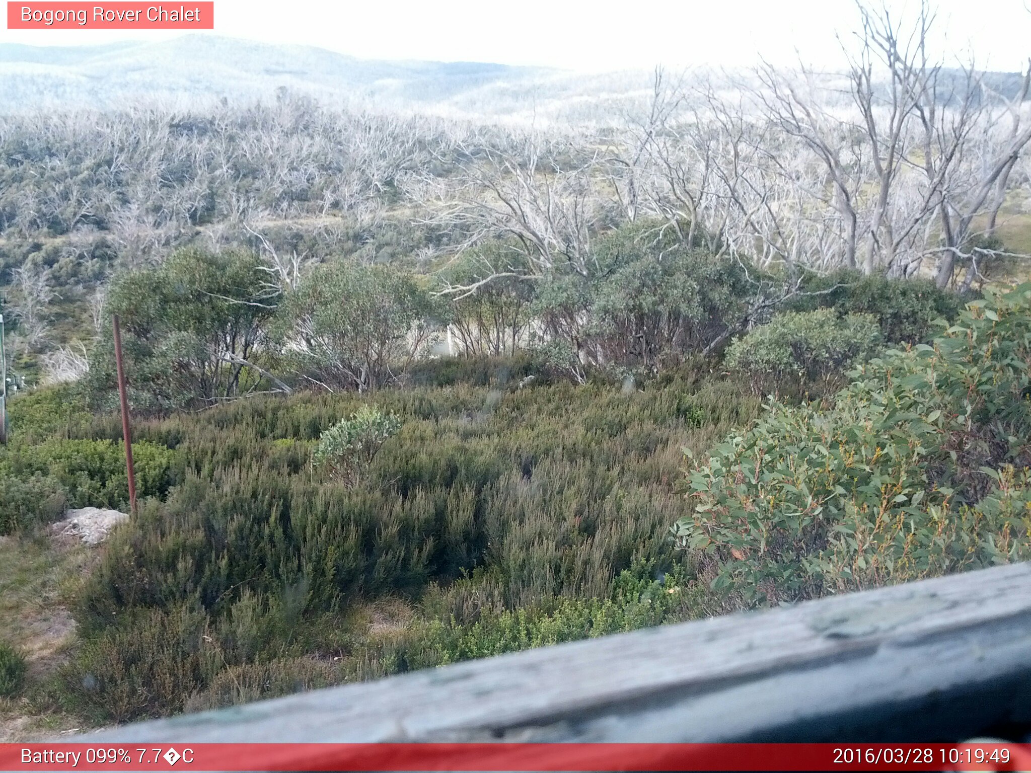 Bogong Web Cam 10:19am Monday 28th of March 2016