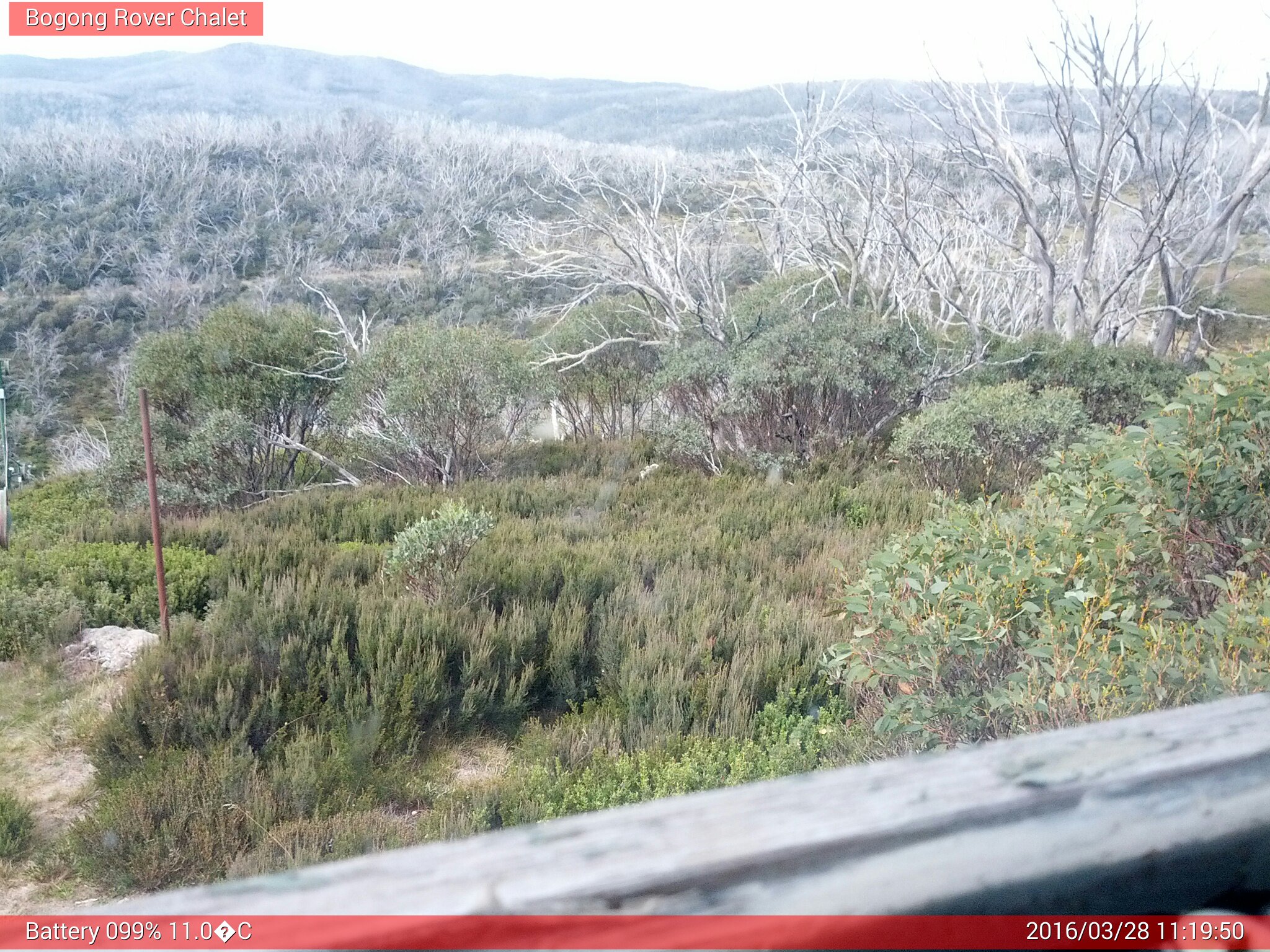 Bogong Web Cam 11:19am Monday 28th of March 2016