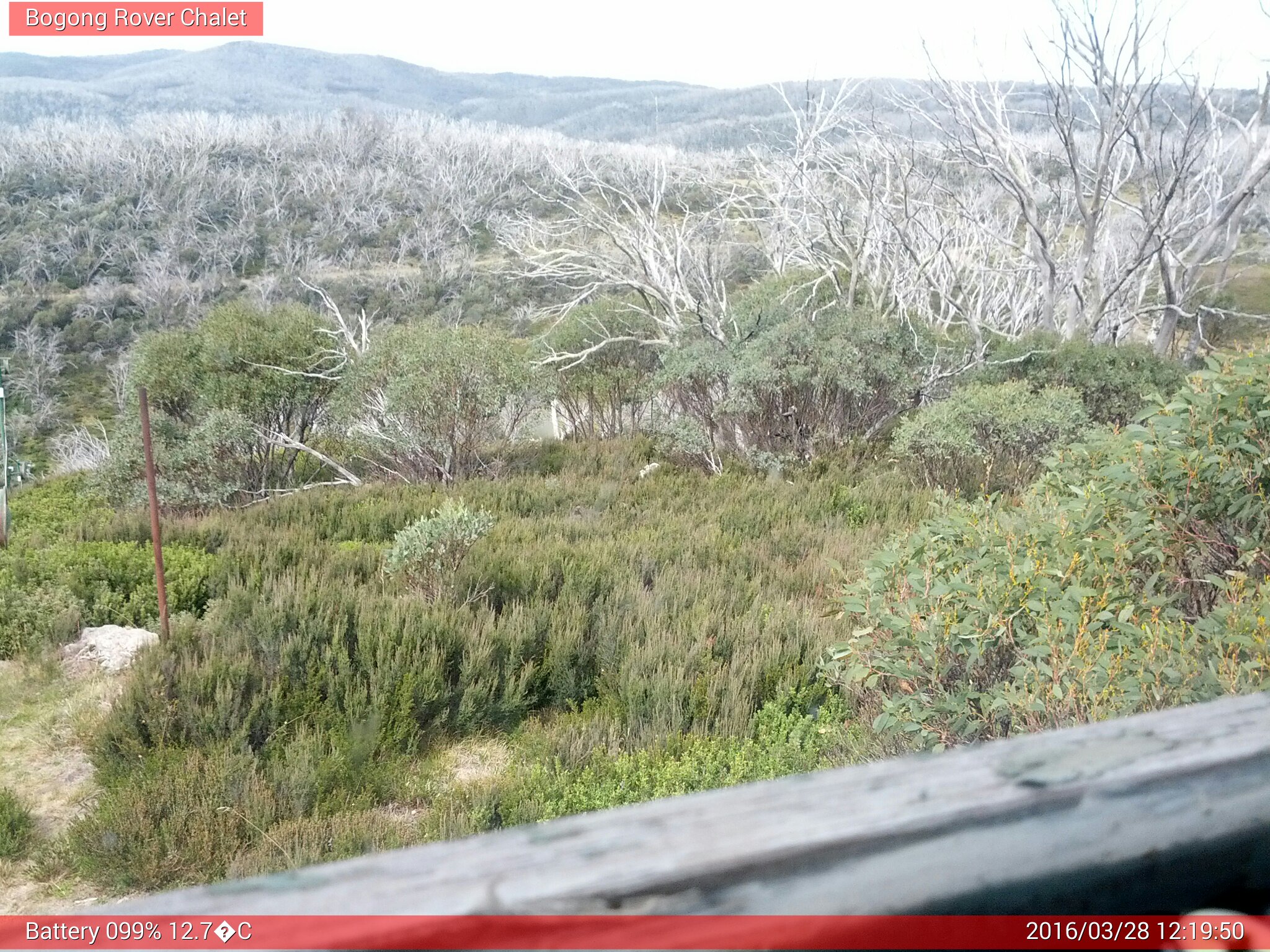 Bogong Web Cam 12:19pm Monday 28th of March 2016