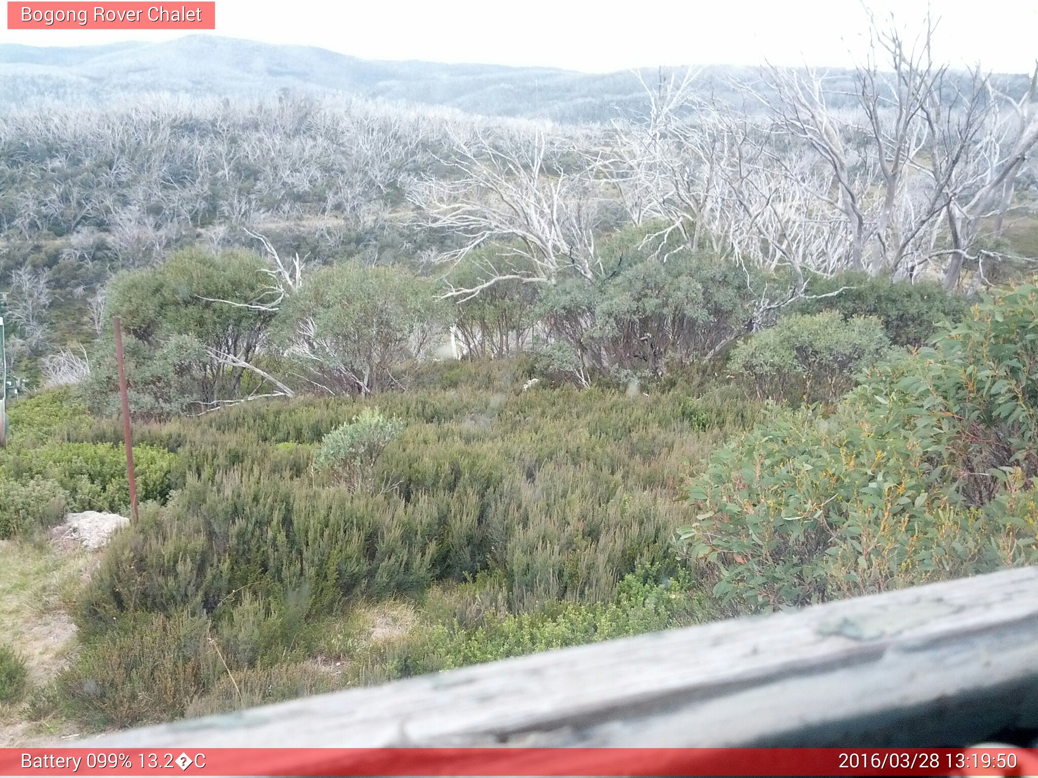 Bogong Web Cam 1:19pm Monday 28th of March 2016