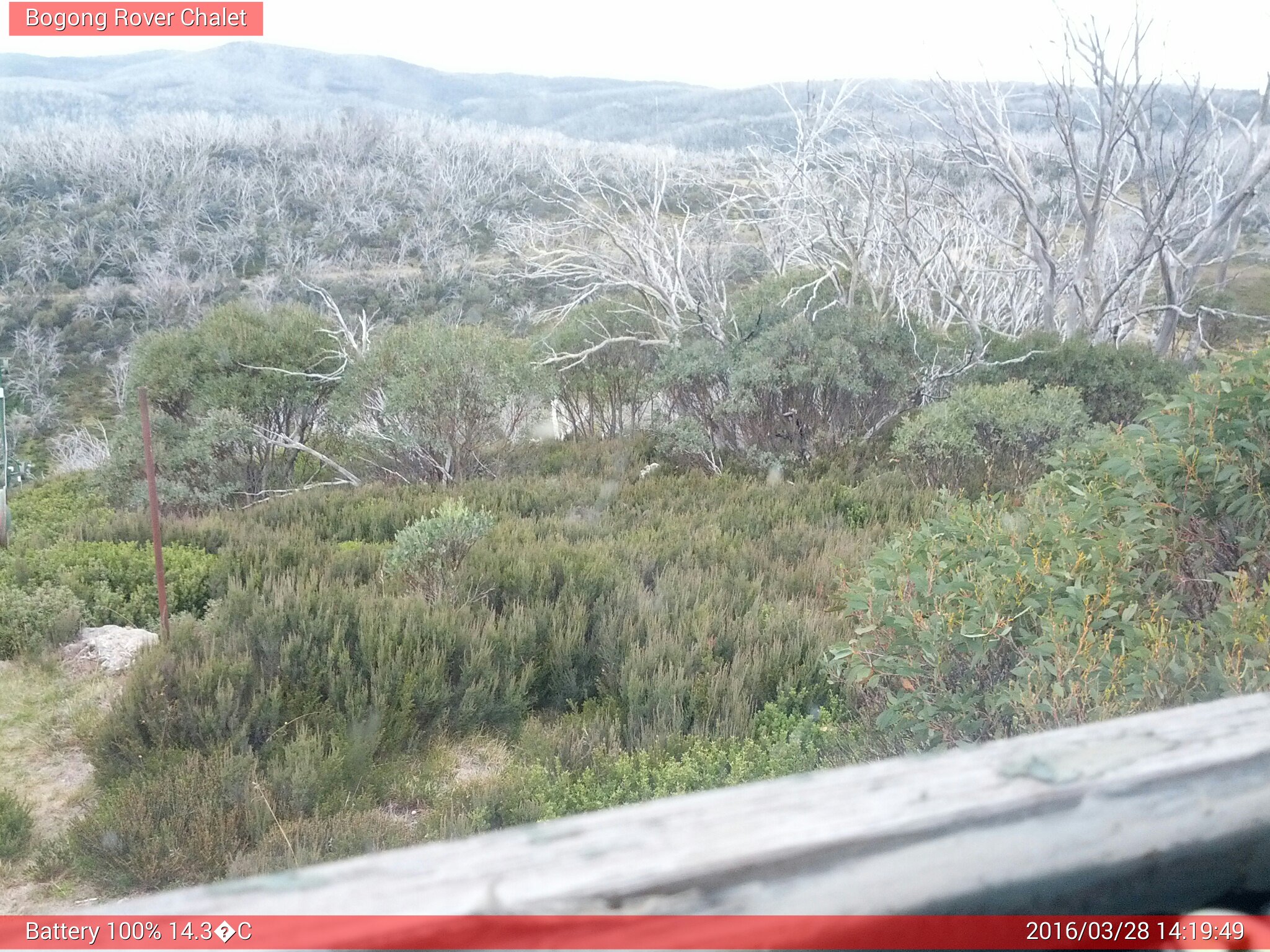 Bogong Web Cam 2:19pm Monday 28th of March 2016