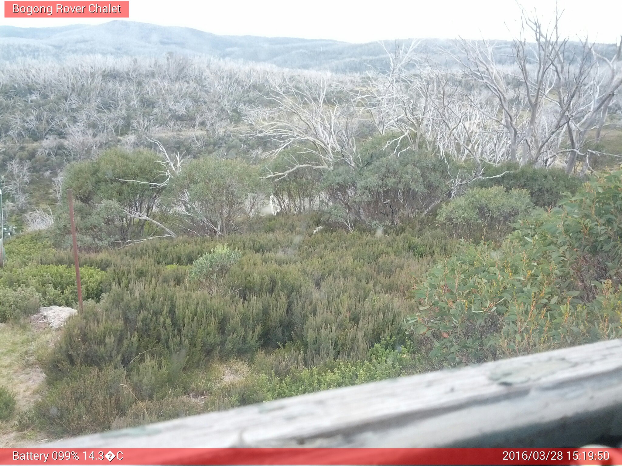 Bogong Web Cam 3:19pm Monday 28th of March 2016