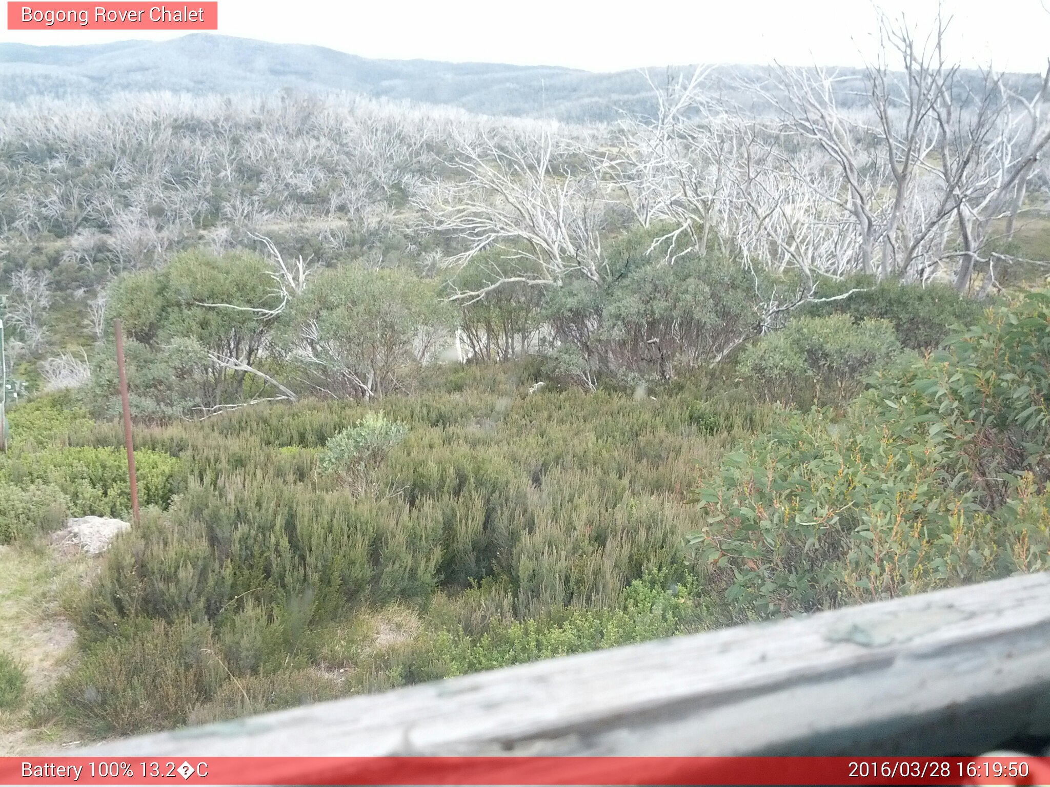 Bogong Web Cam 4:19pm Monday 28th of March 2016