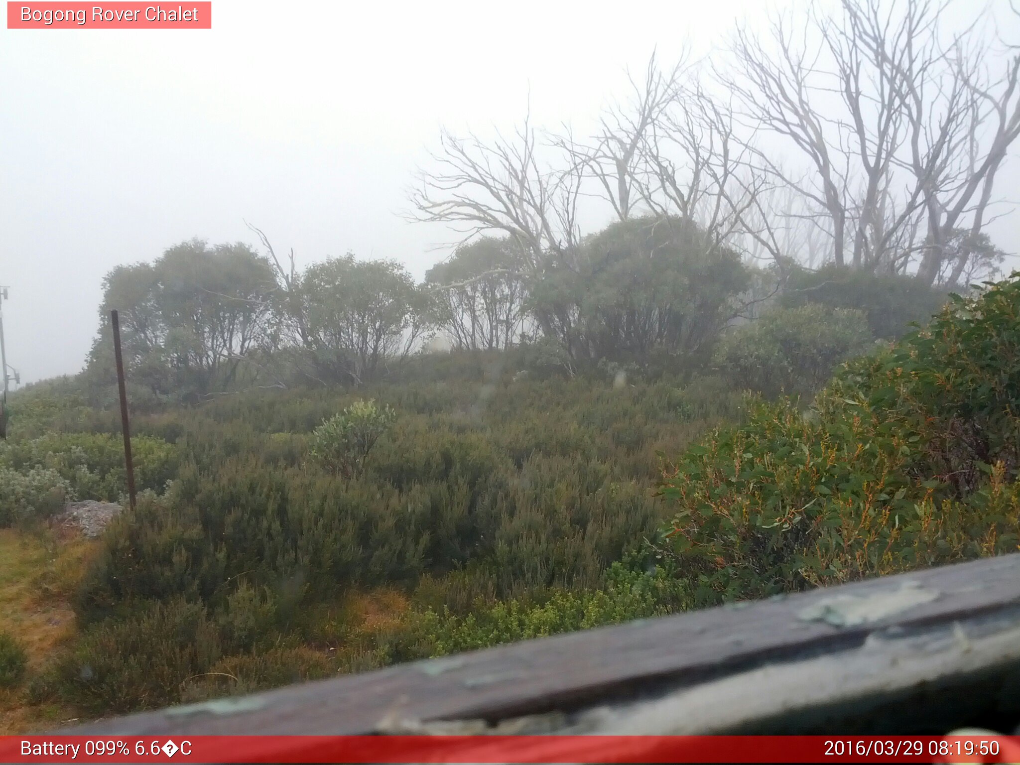 Bogong Web Cam 8:19am Tuesday 29th of March 2016