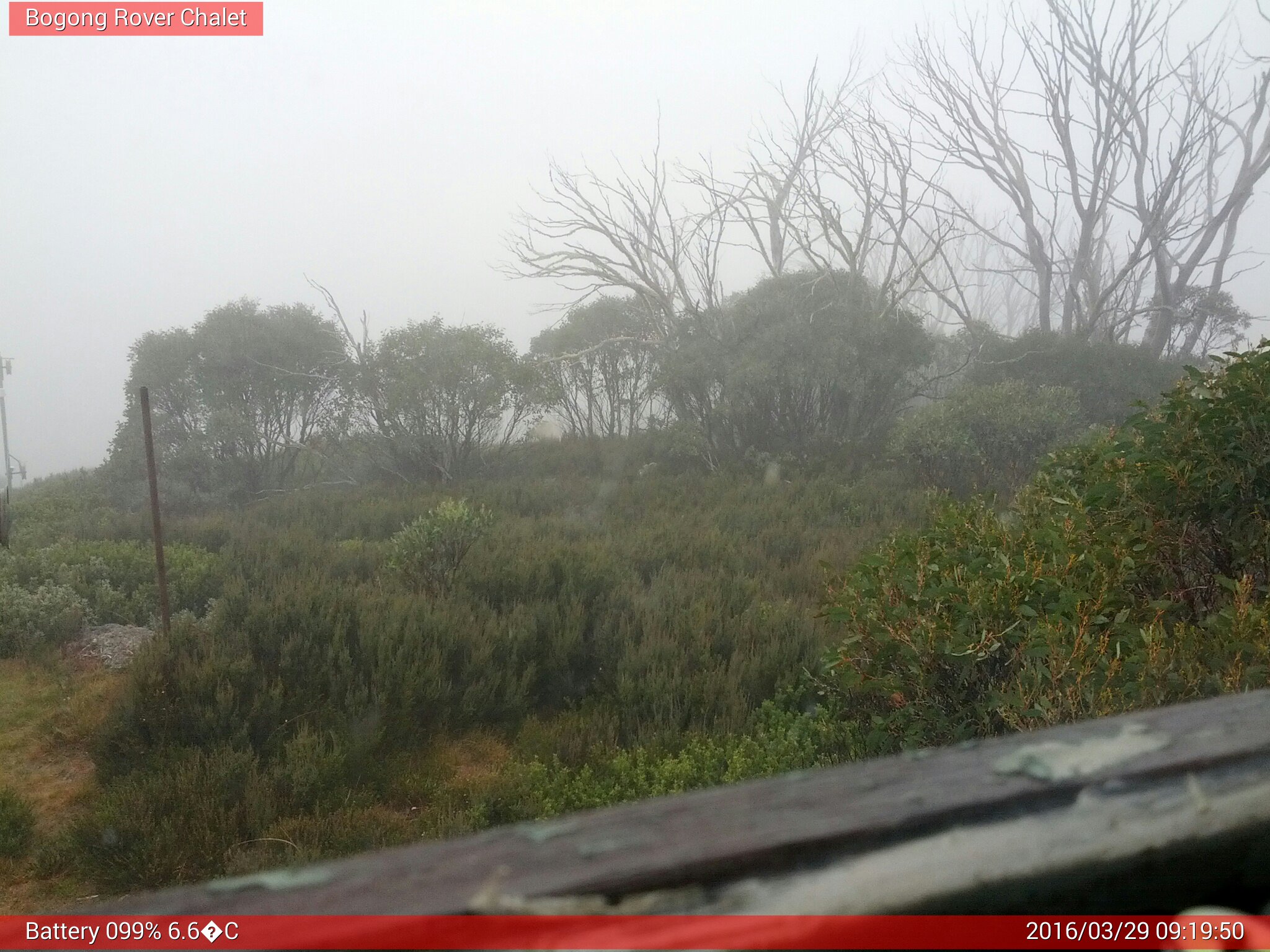 Bogong Web Cam 9:19am Tuesday 29th of March 2016