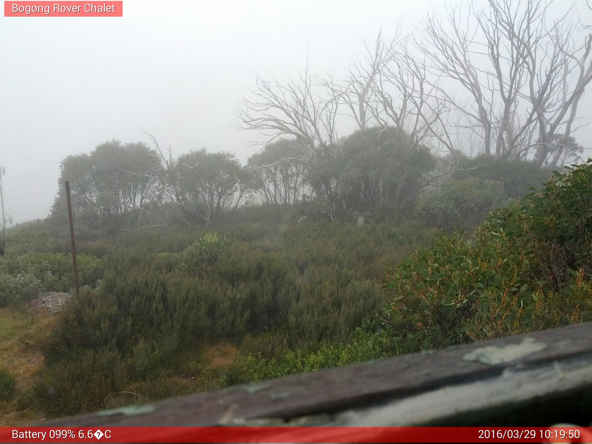 Bogong Web Cam 10:19am Tuesday 29th of March 2016