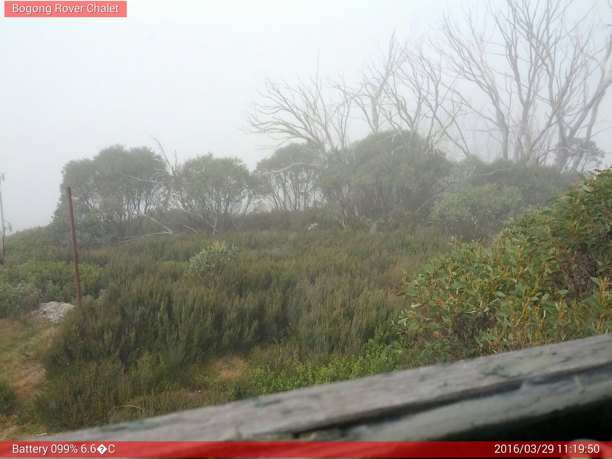 Bogong Web Cam 11:19am Tuesday 29th of March 2016