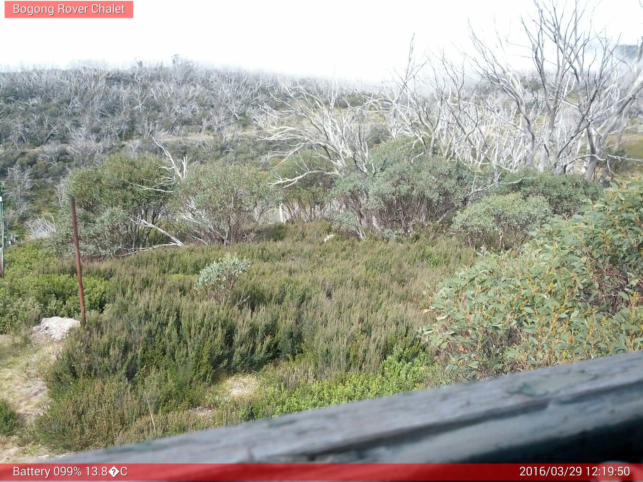 Bogong Web Cam 12:19pm Tuesday 29th of March 2016