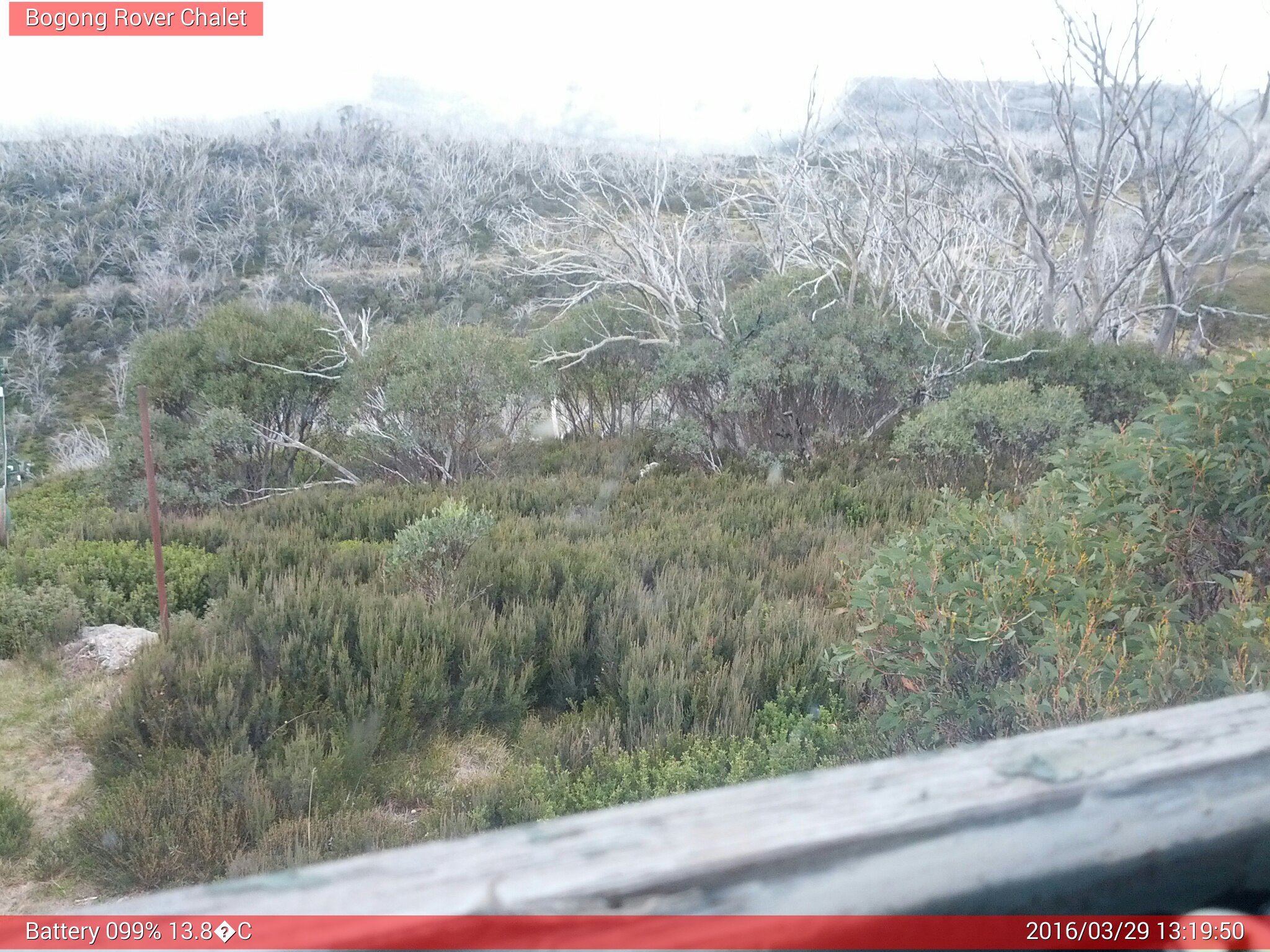 Bogong Web Cam 1:19pm Tuesday 29th of March 2016