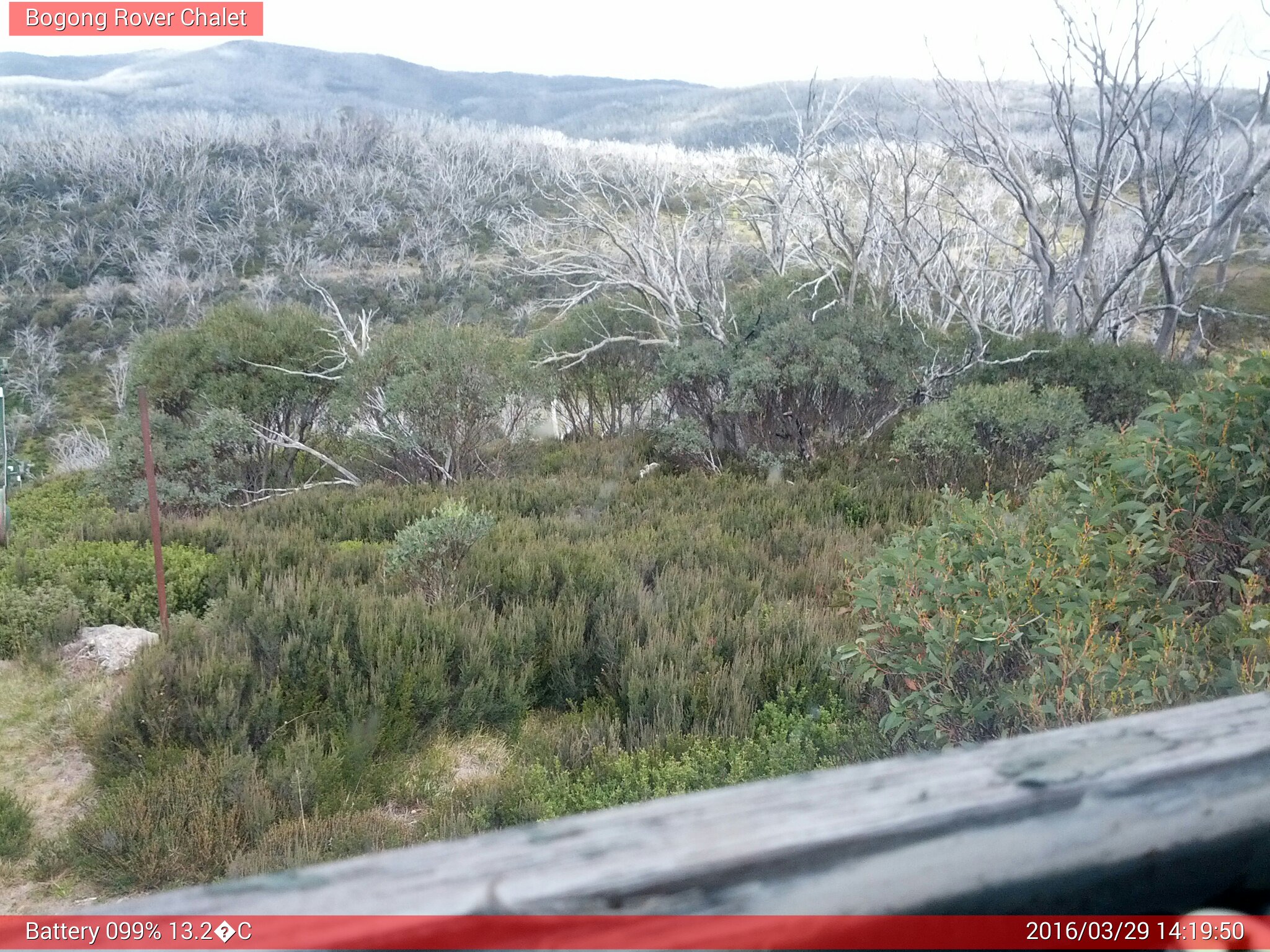 Bogong Web Cam 2:19pm Tuesday 29th of March 2016