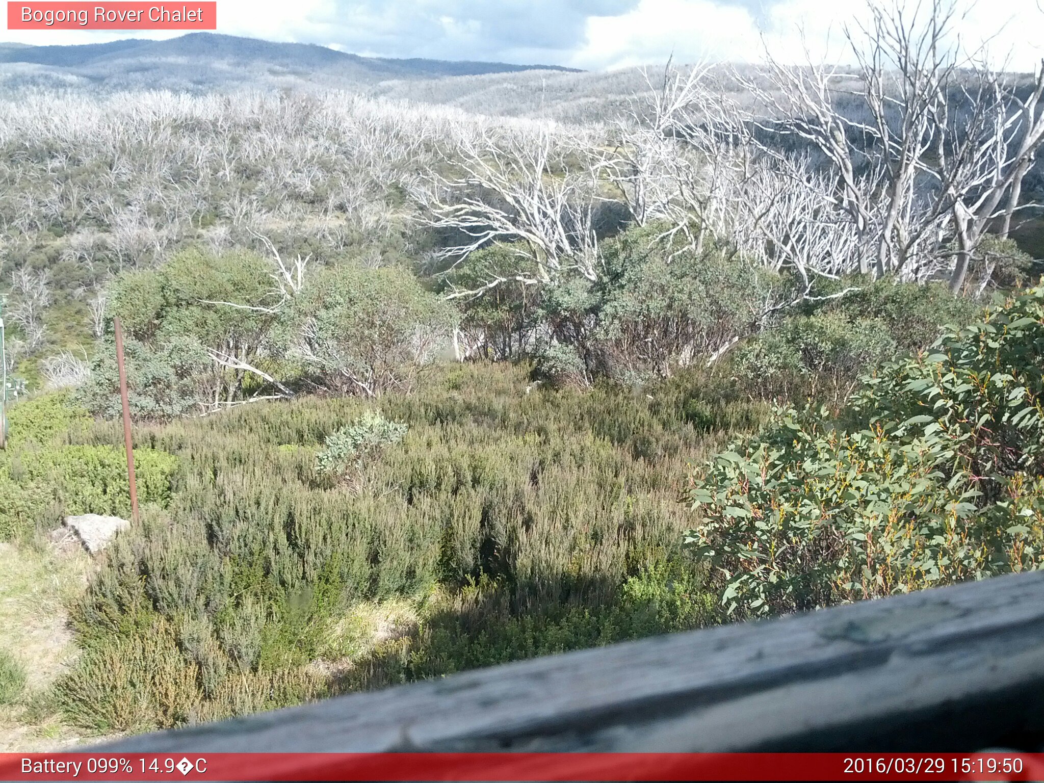 Bogong Web Cam 3:19pm Tuesday 29th of March 2016