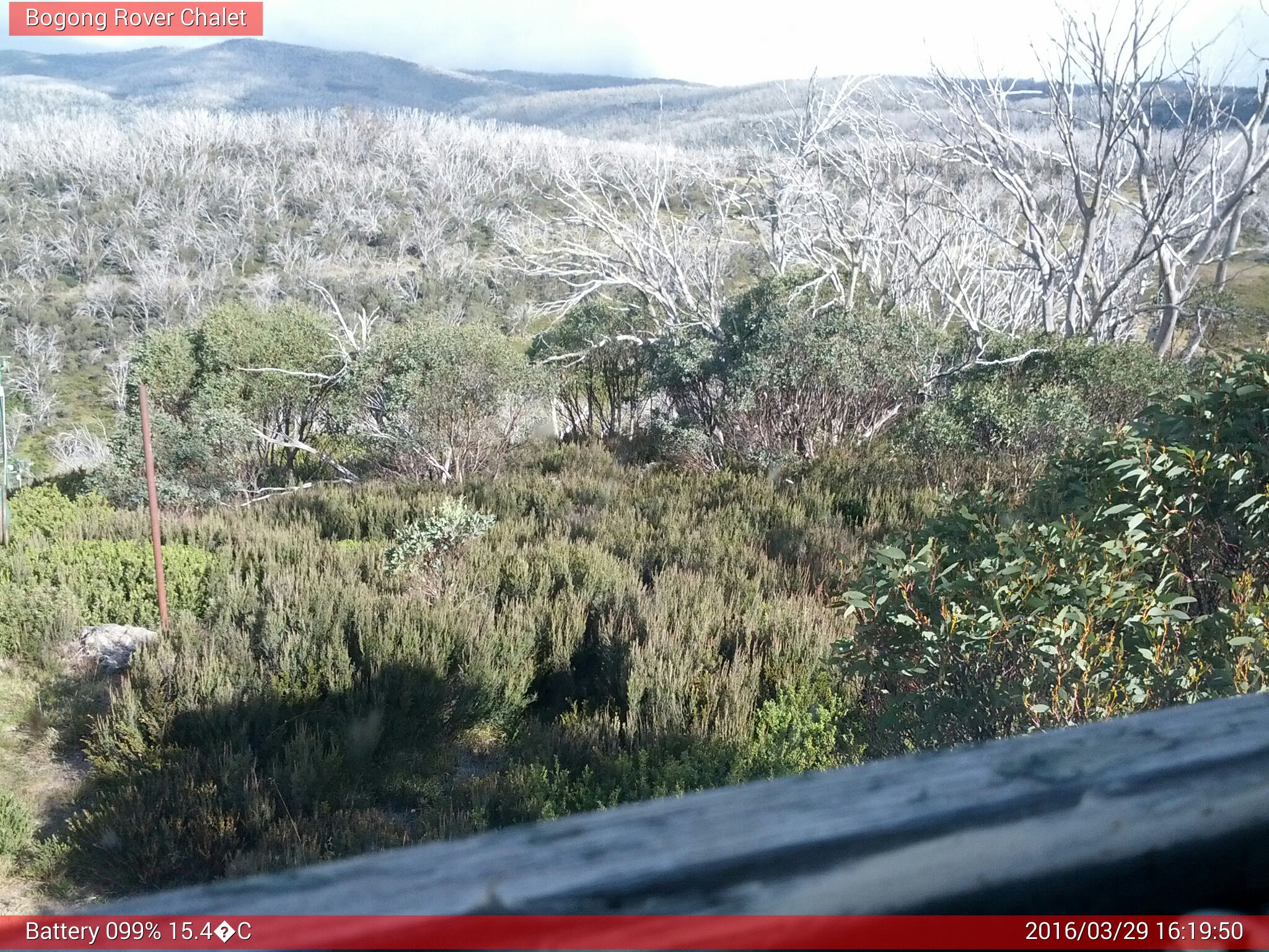 Bogong Web Cam 4:19pm Tuesday 29th of March 2016