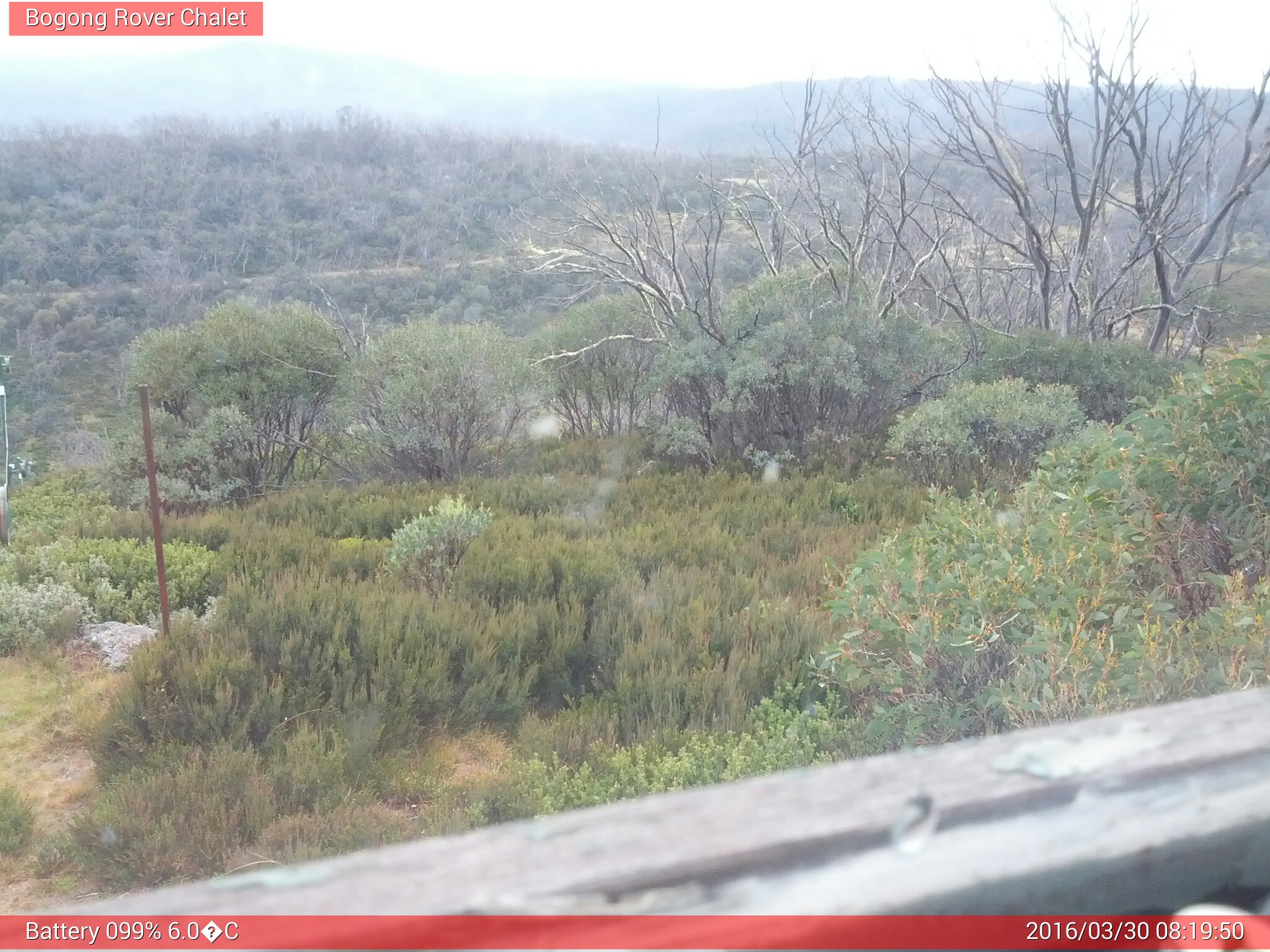 Bogong Web Cam 8:19am Wednesday 30th of March 2016