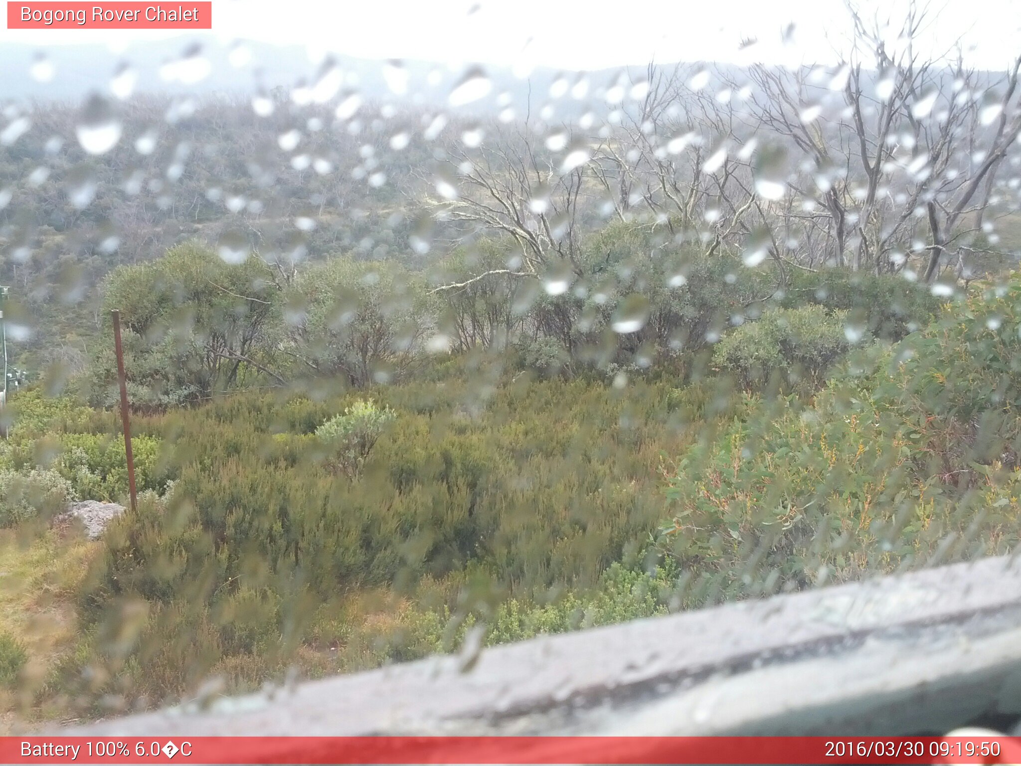 Bogong Web Cam 9:19am Wednesday 30th of March 2016